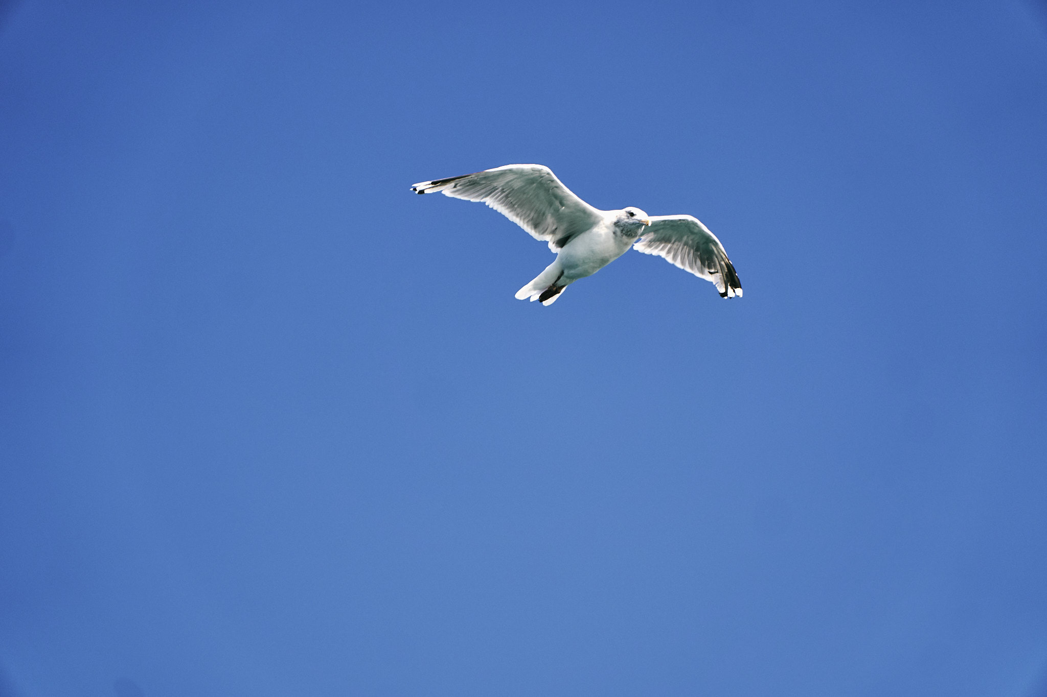 Путешествие на Север в 2019 году. Внедорожные путешествия — OFFROADTRIP