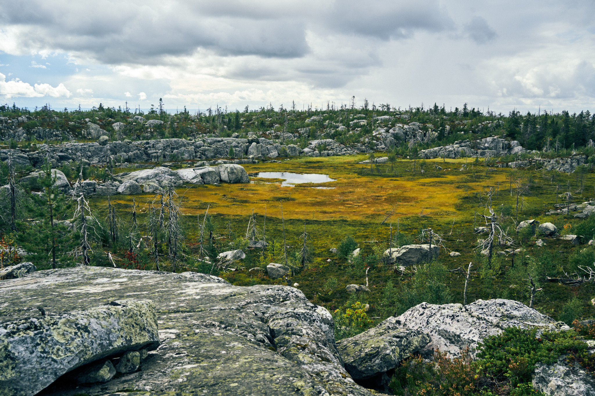 Путешествие на Север в 2021 году. Внедорожные путешествия — OFFROADTRIP