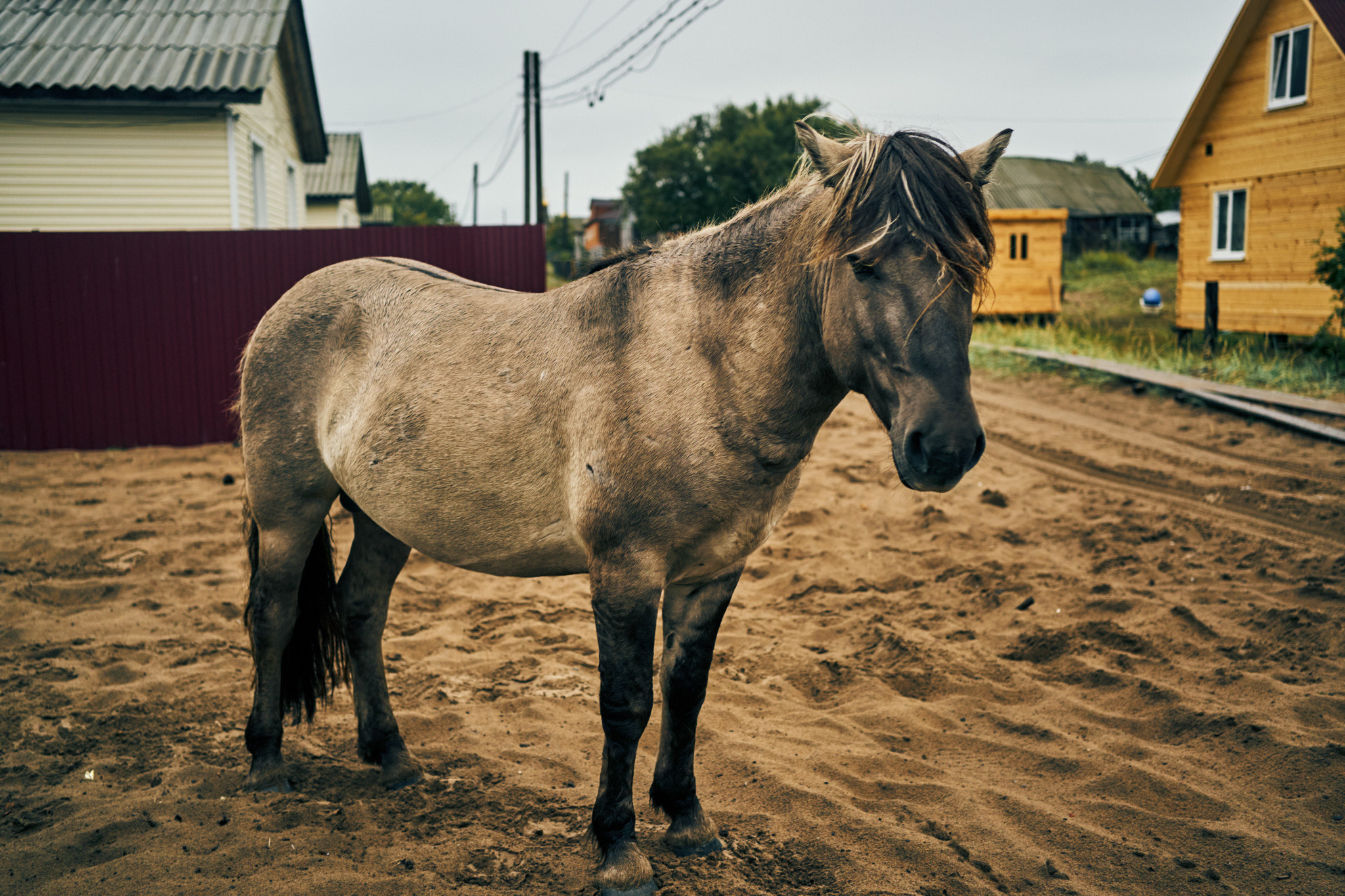 Путешествие на Север в 2021 году. Внедорожные путешествия — OFFROADTRIP