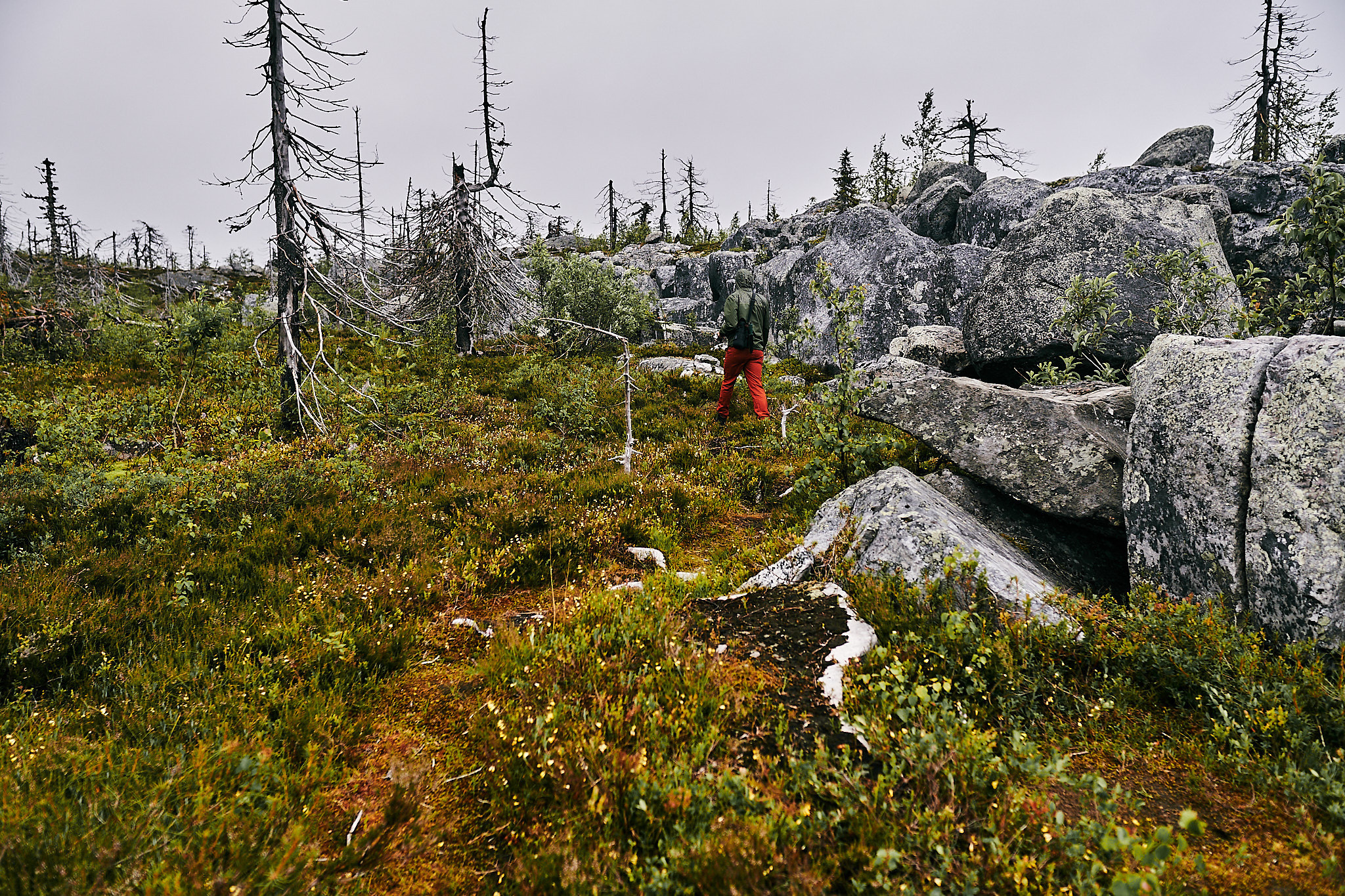 Путешествие на Север в 2018 году. Внедорожные путешествия — OFFROADTRIP