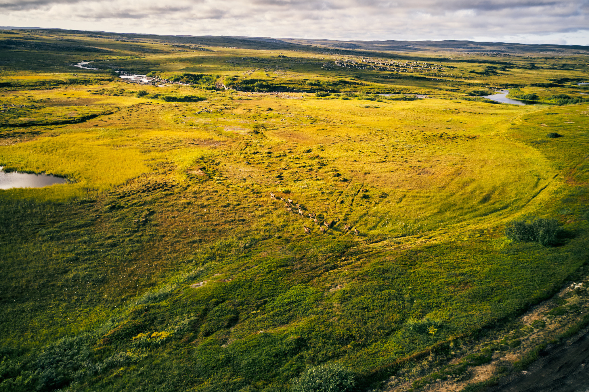 Путешествие на Север в 2021 году. Внедорожные путешествия — OFFROADTRIP