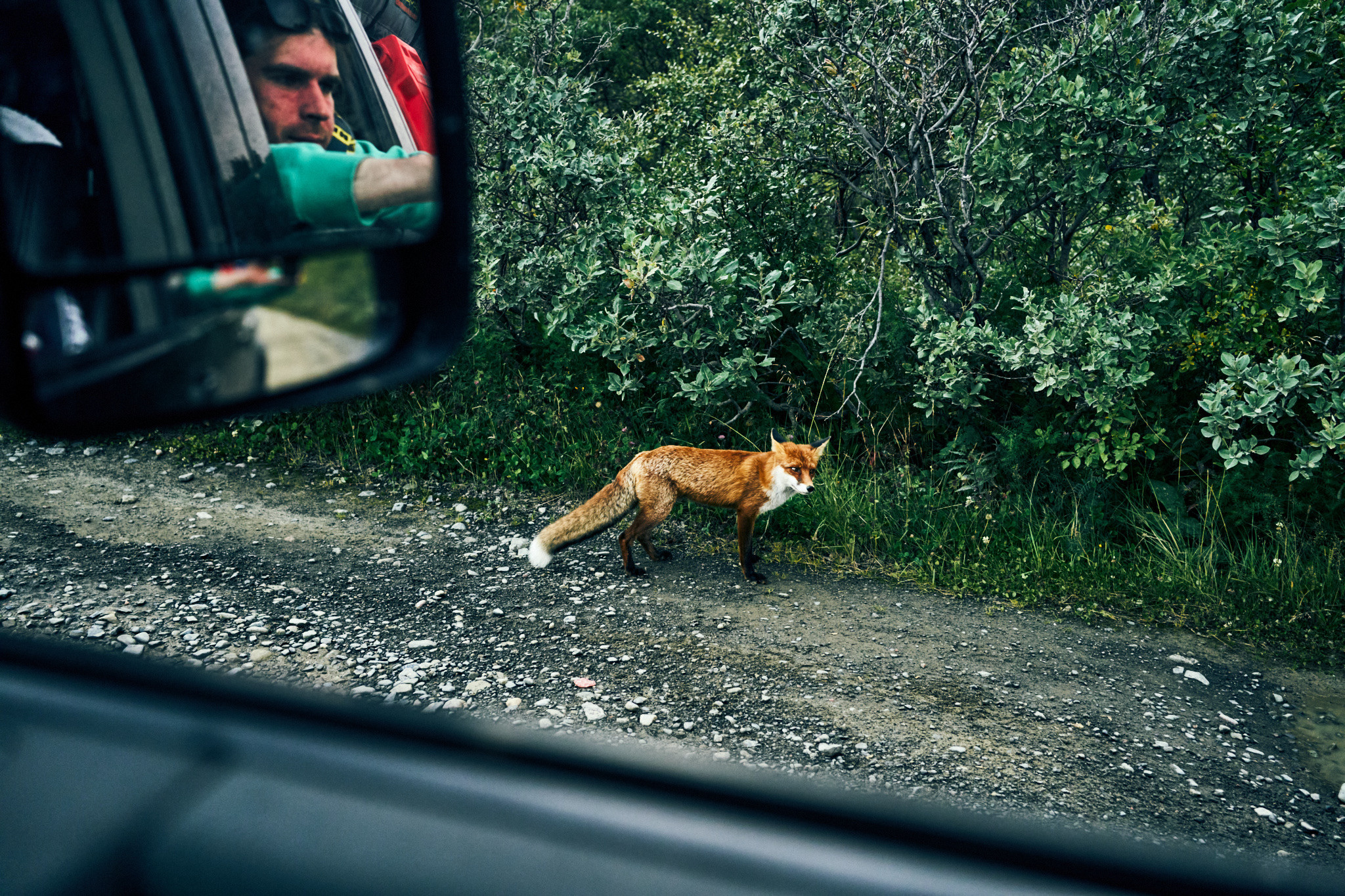 Путешествие на Север в 2021 году. Внедорожные путешествия — OFFROADTRIP