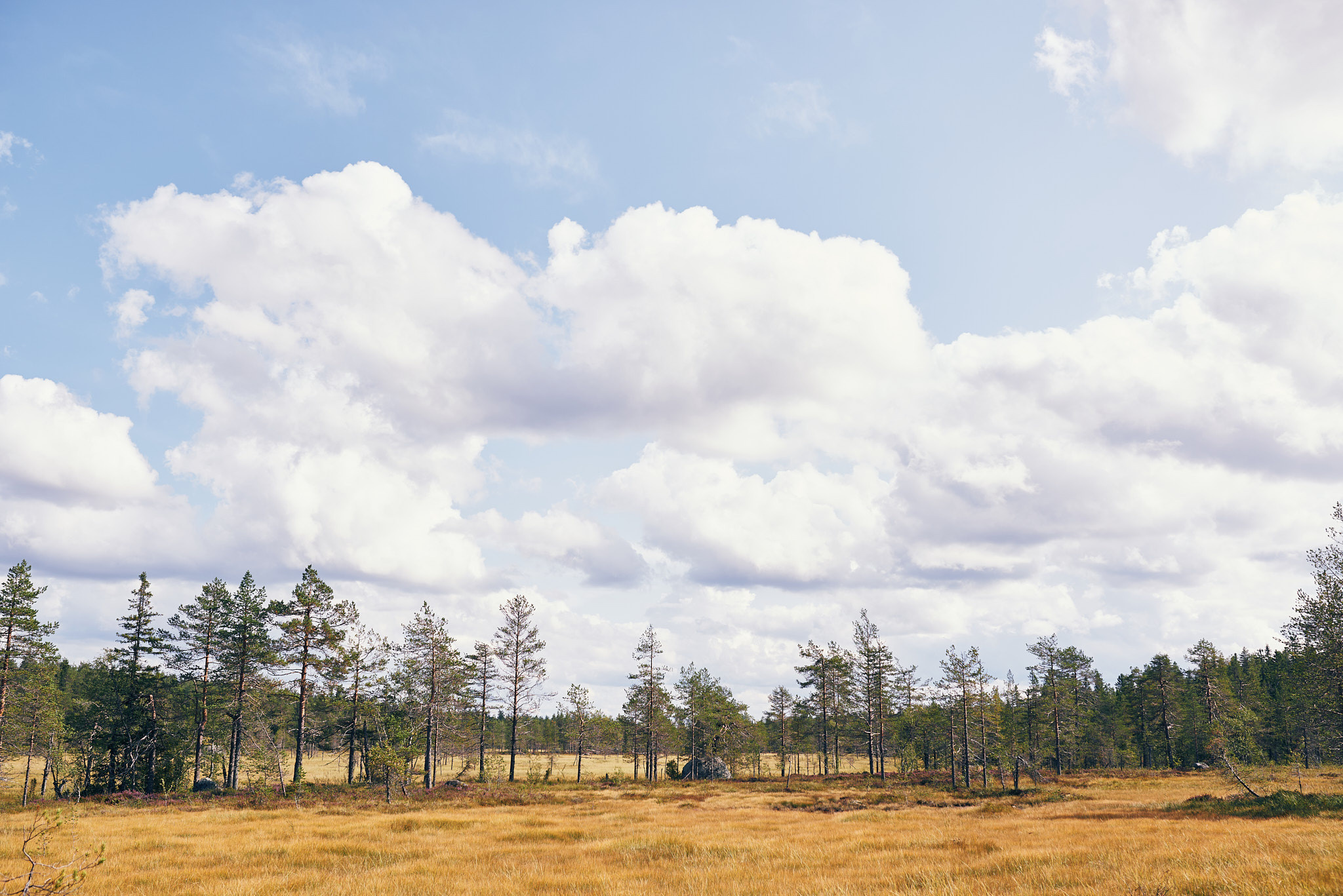 Путешествие на Север в 2019 году. Внедорожные путешествия — OFFROADTRIP