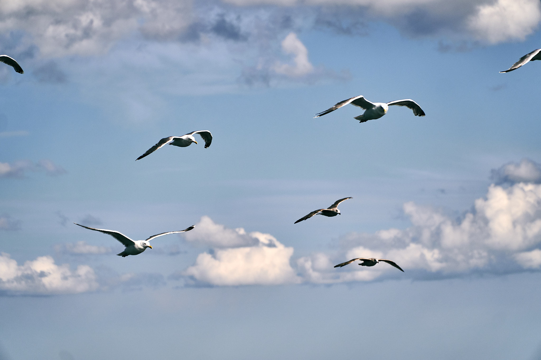 Путешествие на Север в 2019 году. Внедорожные путешествия — OFFROADTRIP