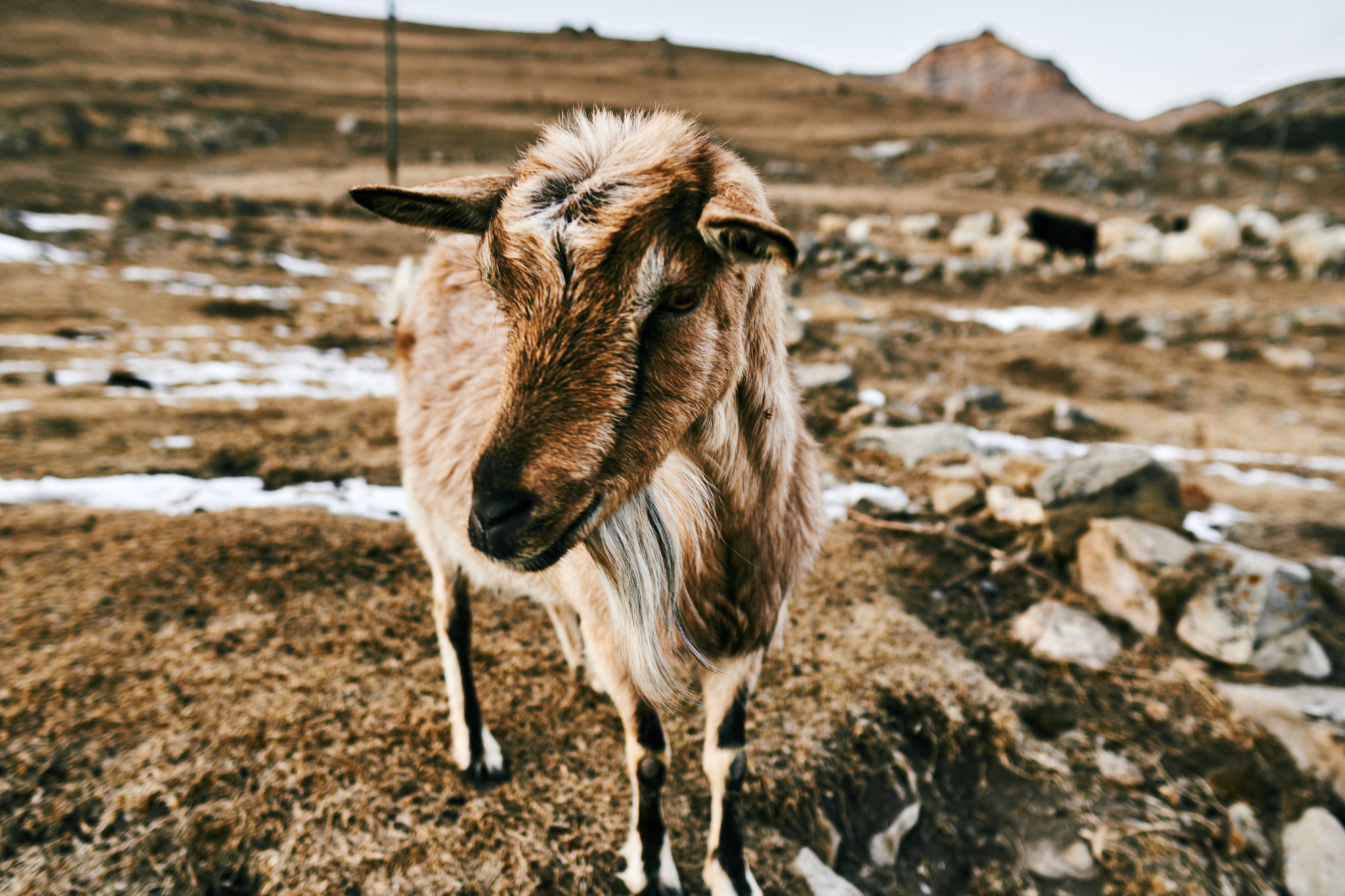 Путешествие на Кавказ в 2021 году. Внедорожные путешествия — OFFROADTRIP