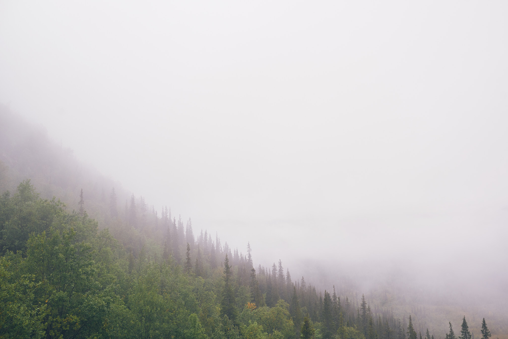 Путешествие на Север в 2019 году. Внедорожные путешествия — OFFROADTRIP