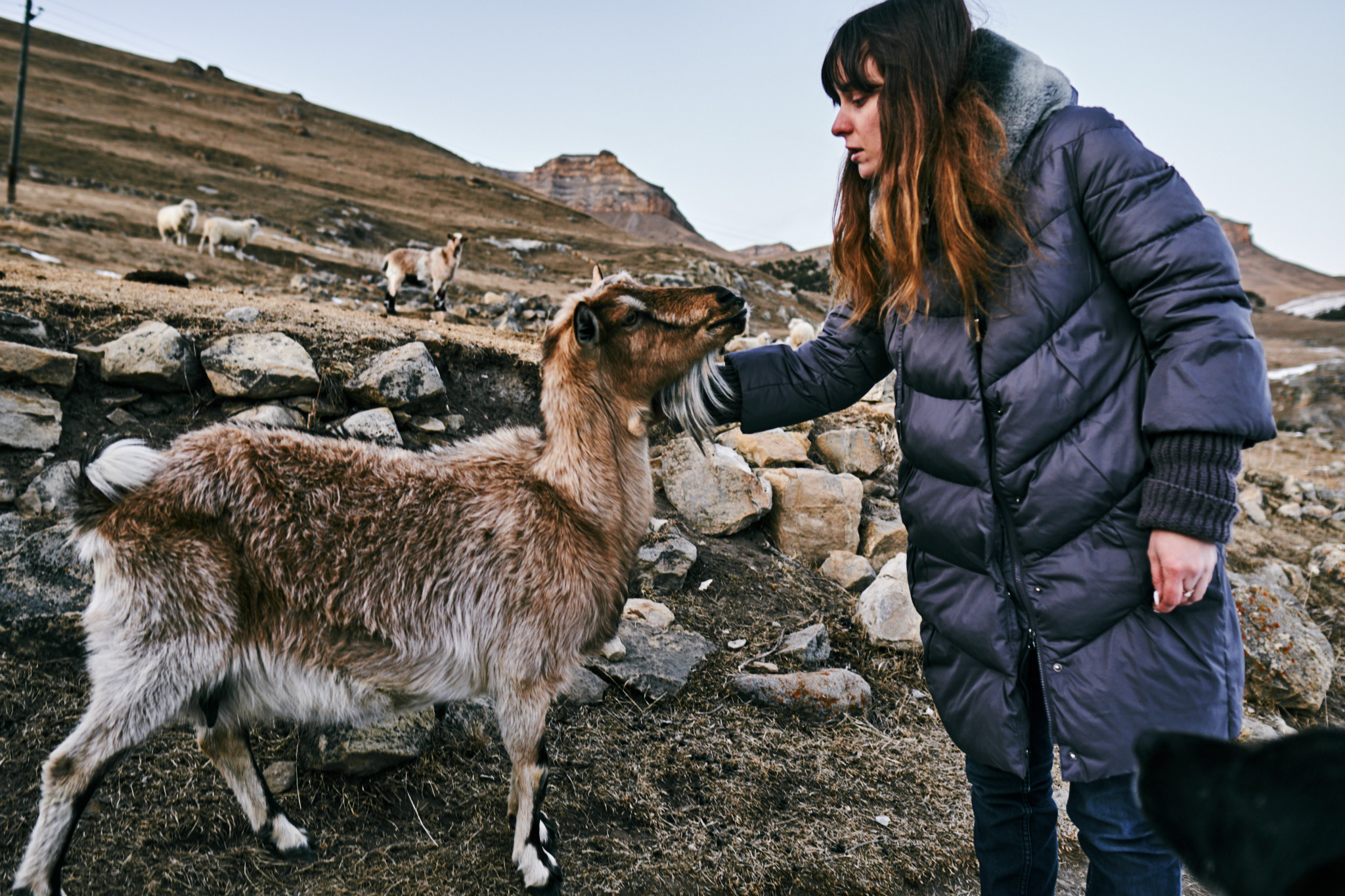 Путешествие на Кавказ в 2021 году. Внедорожные путешествия — OFFROADTRIP