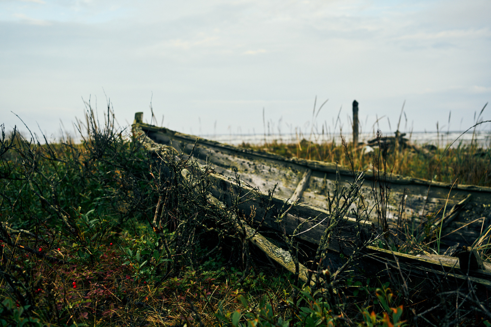 Путешествие на Север в 2021 году. Внедорожные путешествия — OFFROADTRIP