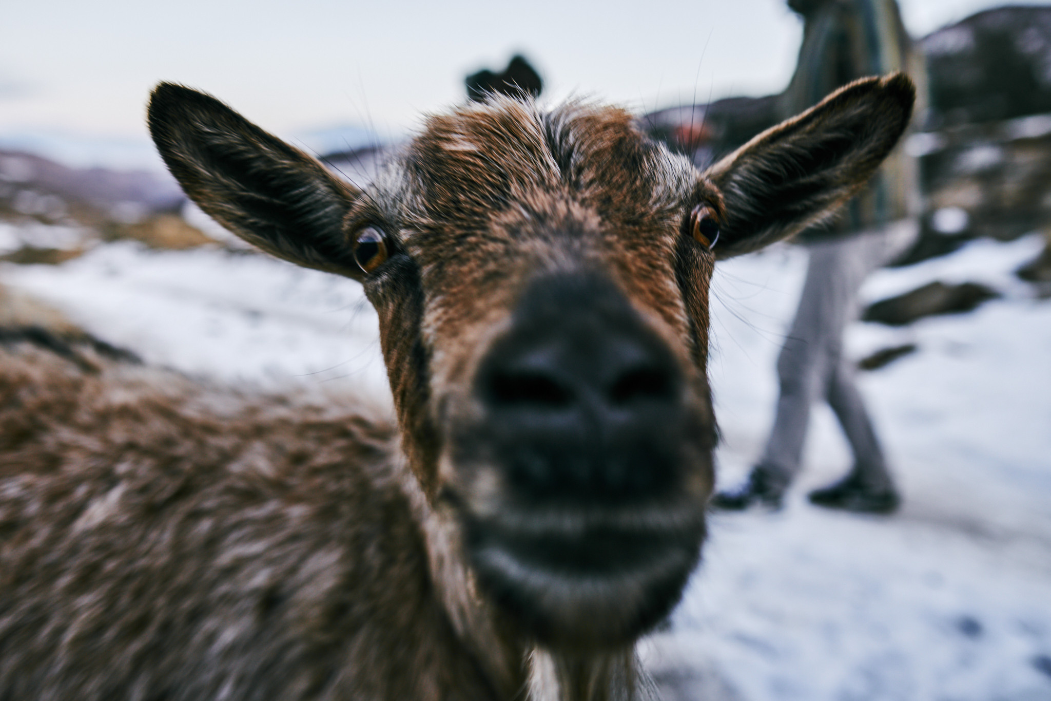 Путешествие на Кавказ в 2021 году. Внедорожные путешествия — OFFROADTRIP