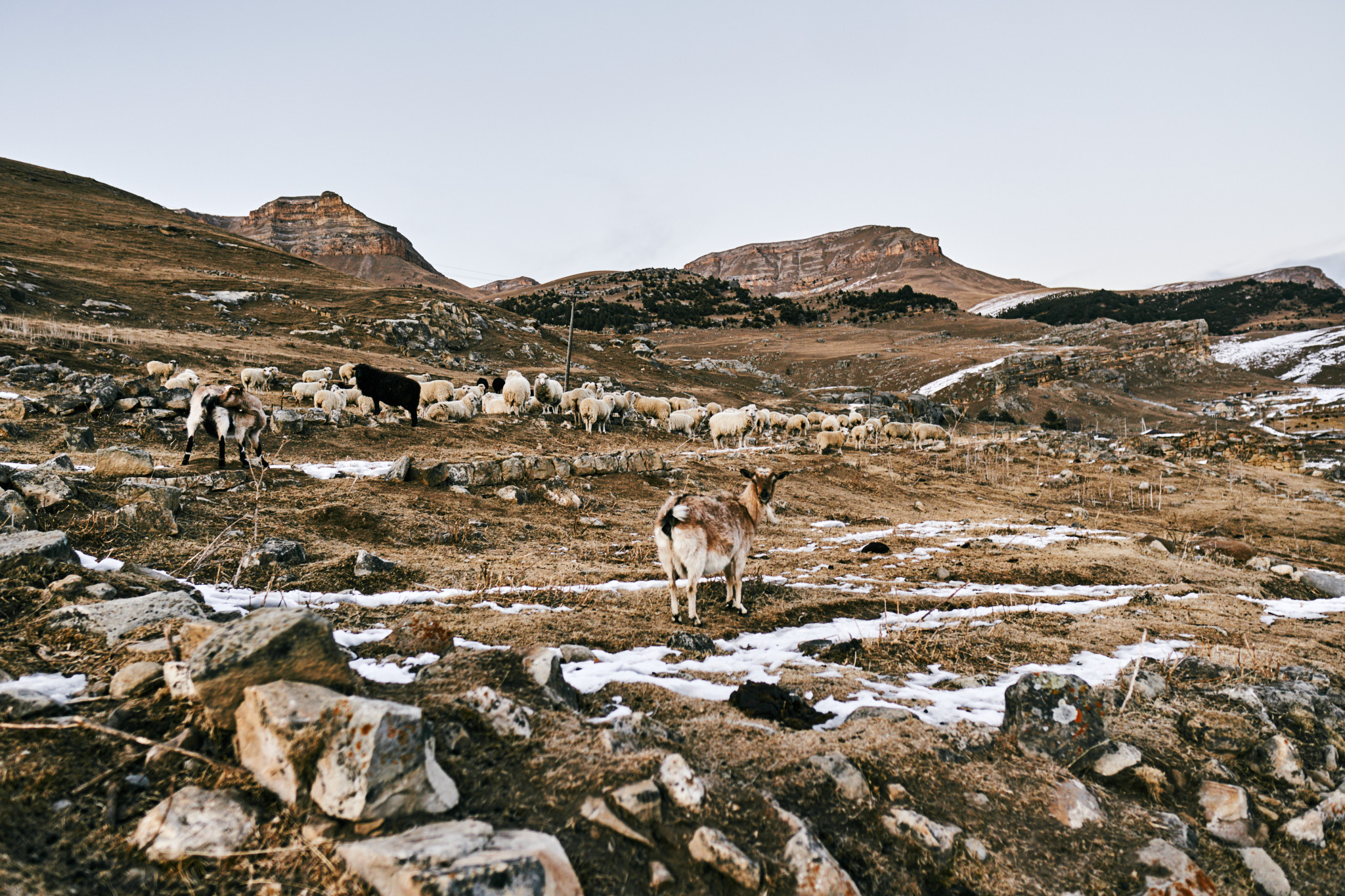 Путешествие на Кавказ в 2021 году. Внедорожные путешествия — OFFROADTRIP