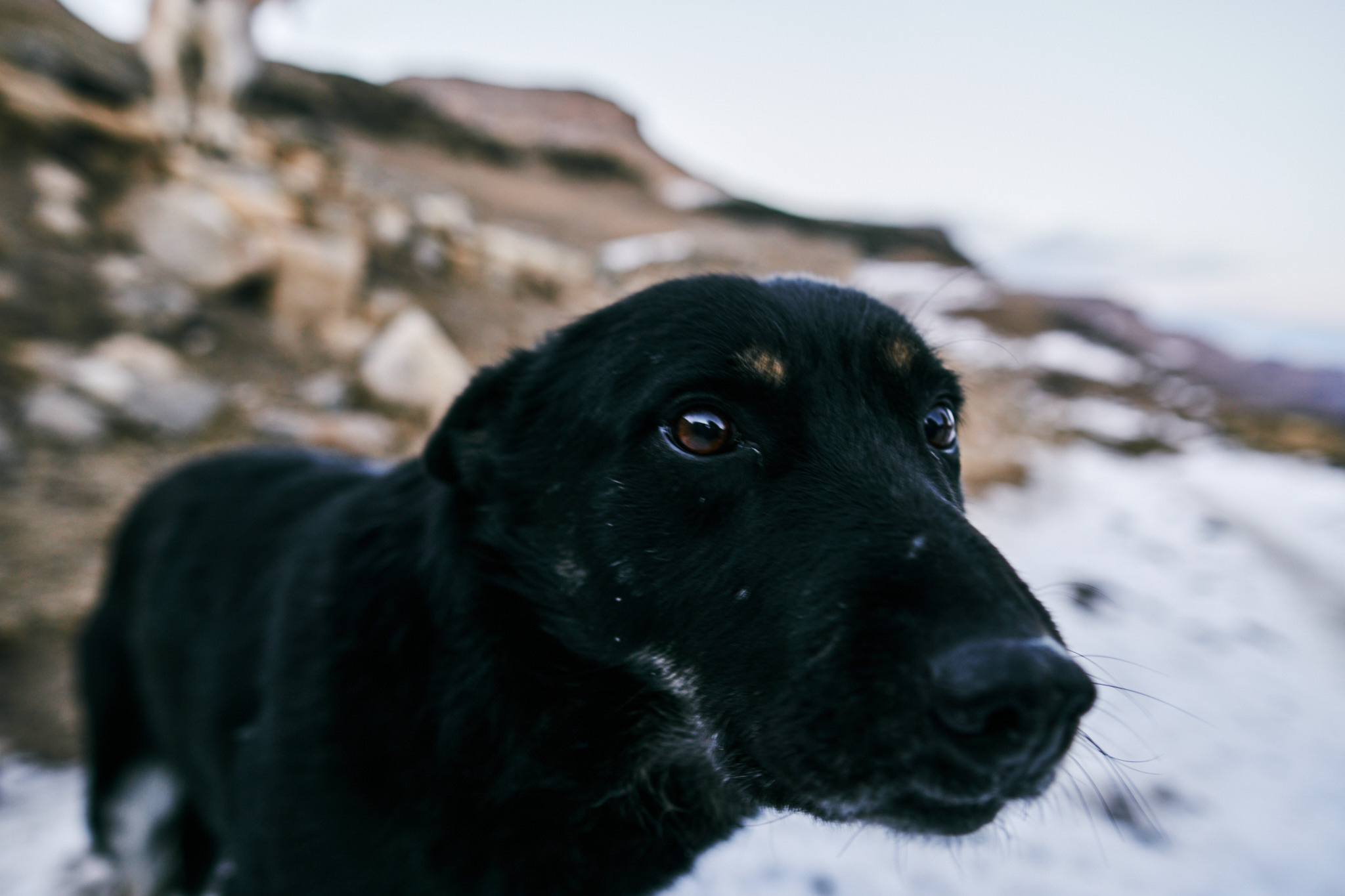 Путешествие на Кавказ в 2021 году. Внедорожные путешествия — OFFROADTRIP