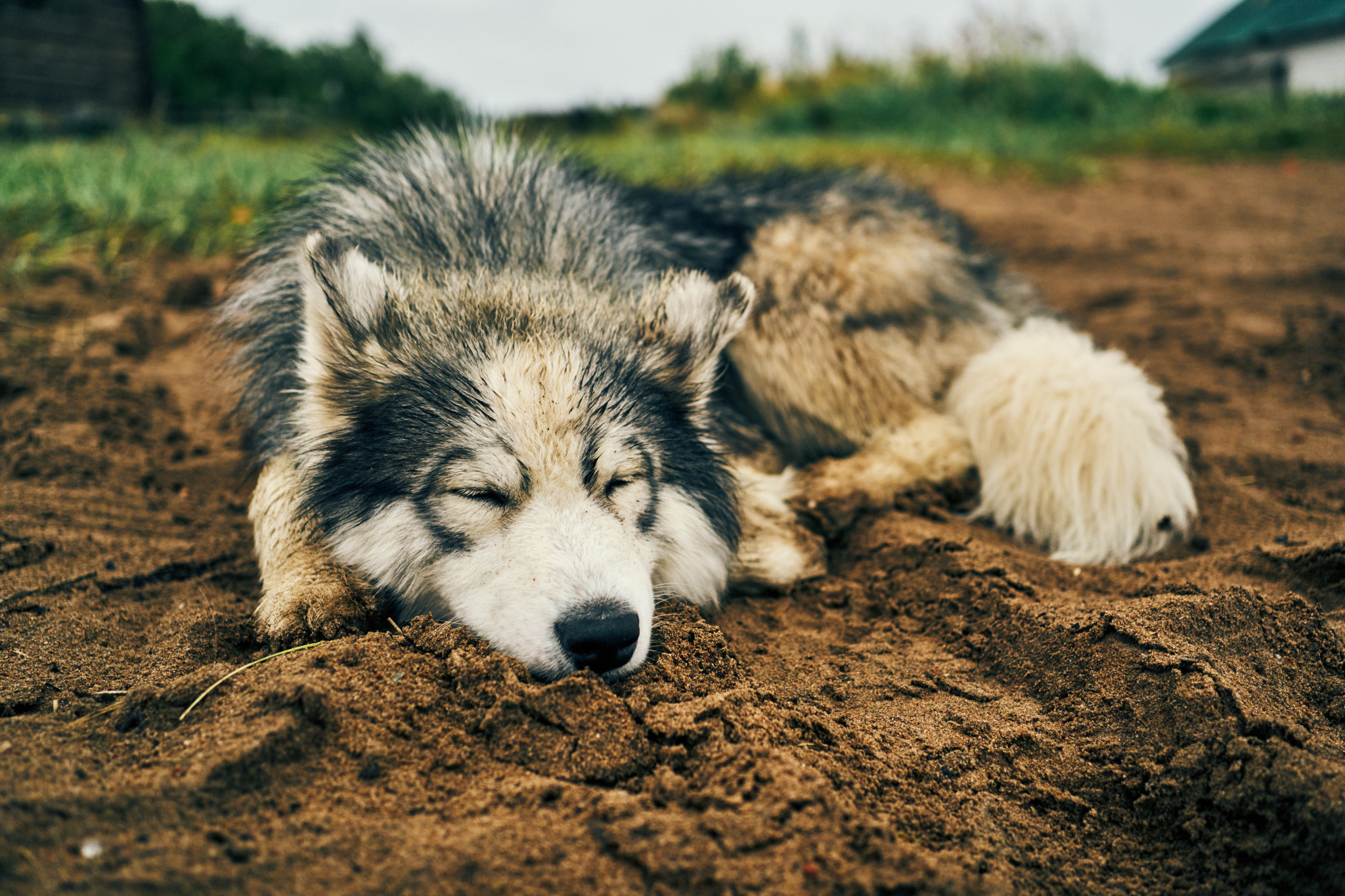 Путешествие на Север в 2021 году. Внедорожные путешествия — OFFROADTRIP