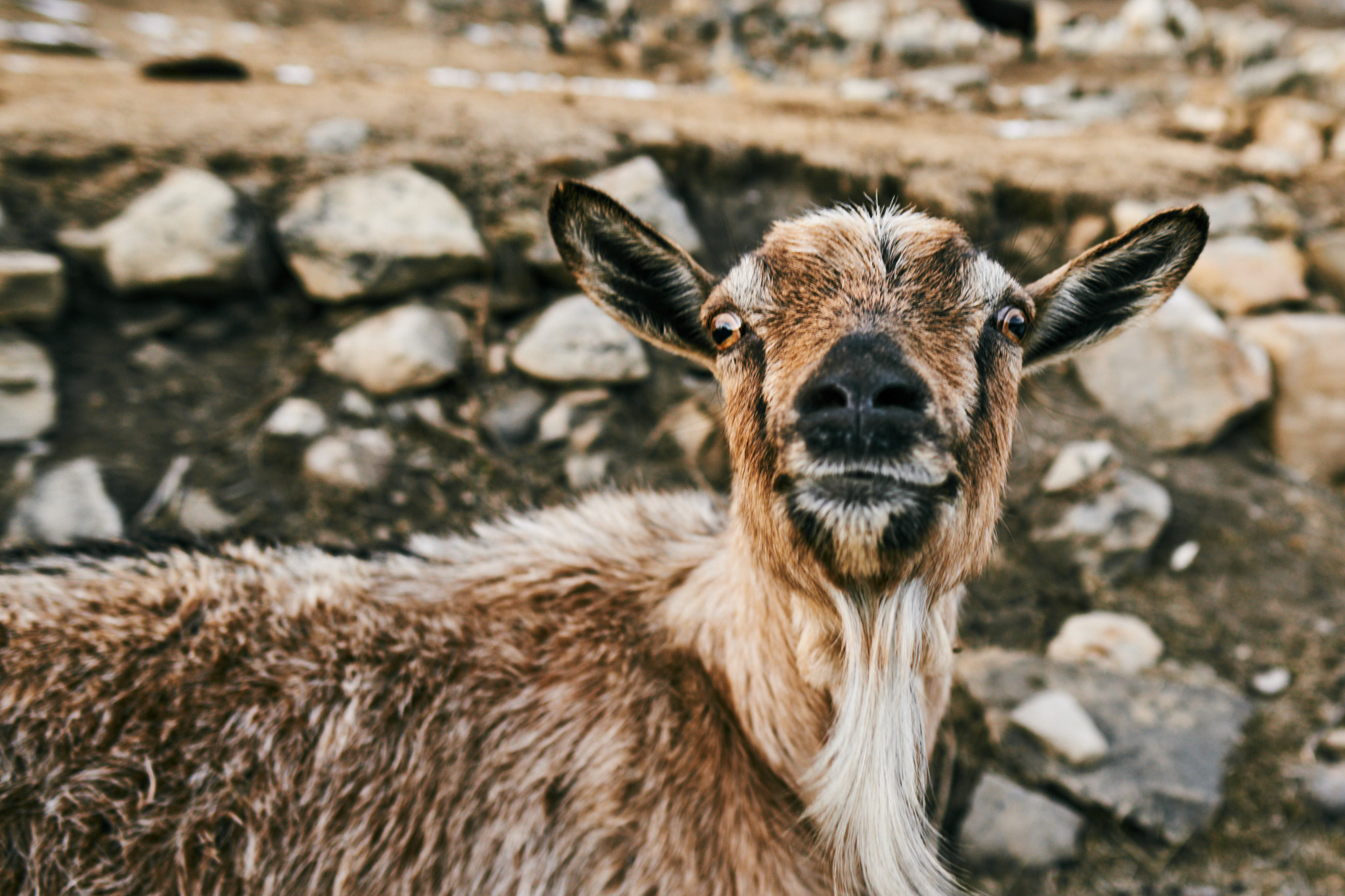 Путешествие на Кавказ в 2021 году. Внедорожные путешествия — OFFROADTRIP