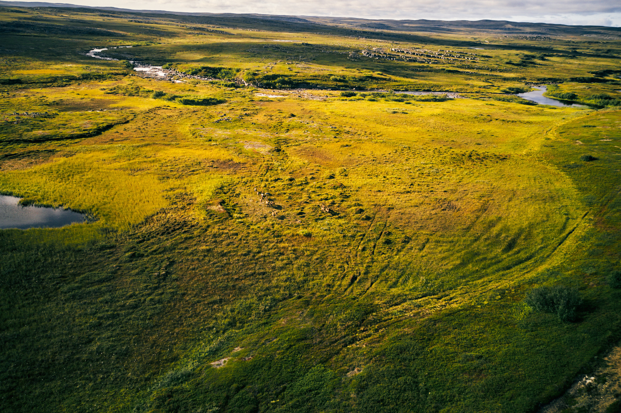 Внедорожные путешествия — OFFROADTRIP