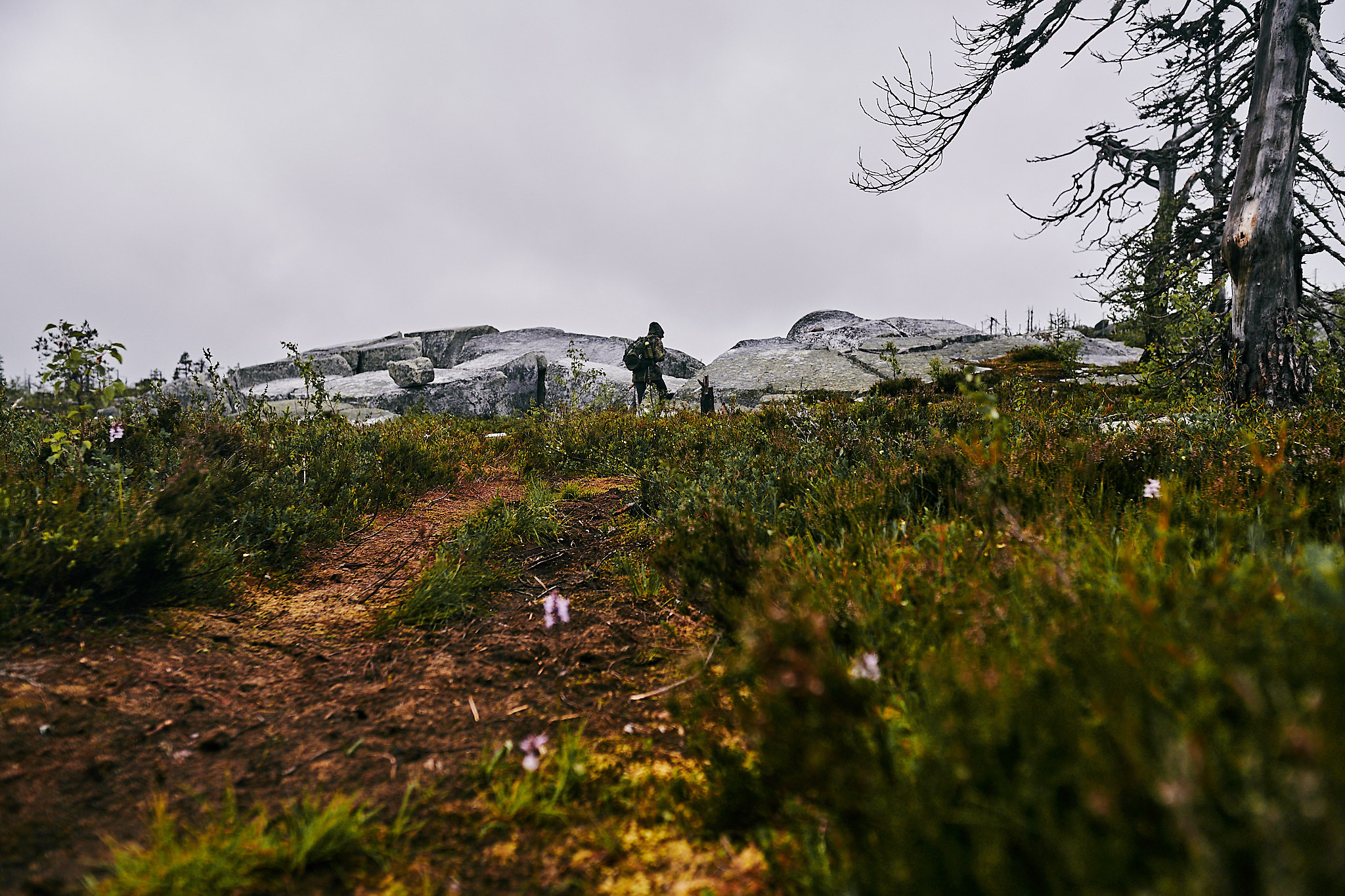 Путешествие на Север в 2018 году. Внедорожные путешествия — OFFROADTRIP