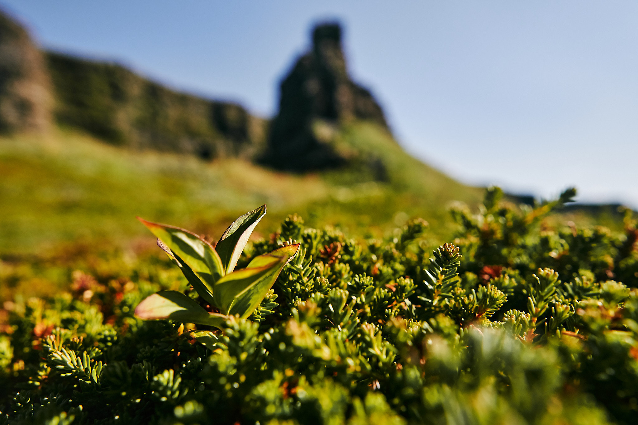 Путешествие на Север в 2018 году. Внедорожные путешествия — OFFROADTRIP