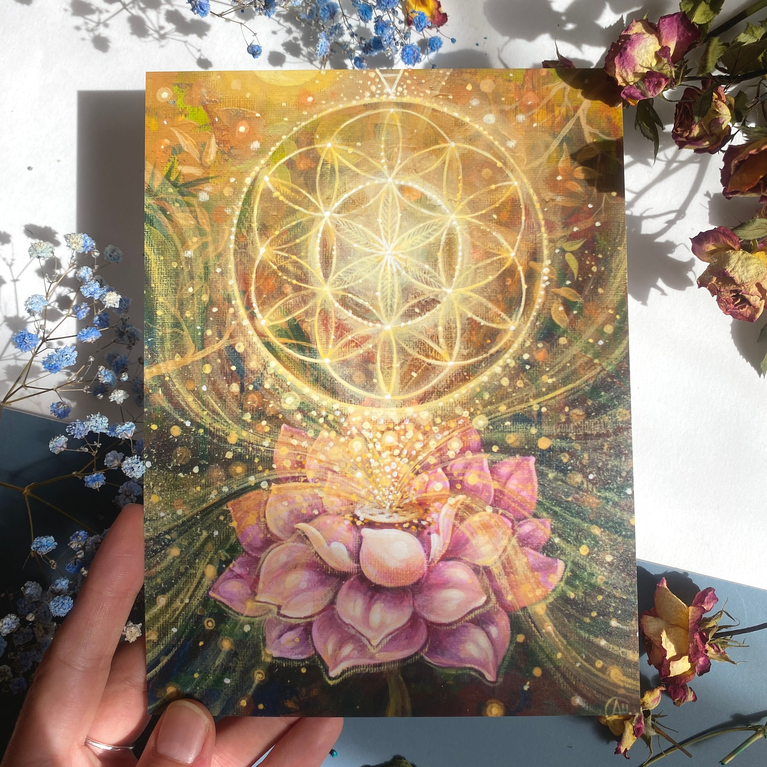 Лотос изобилия - иллюстрация на богатство