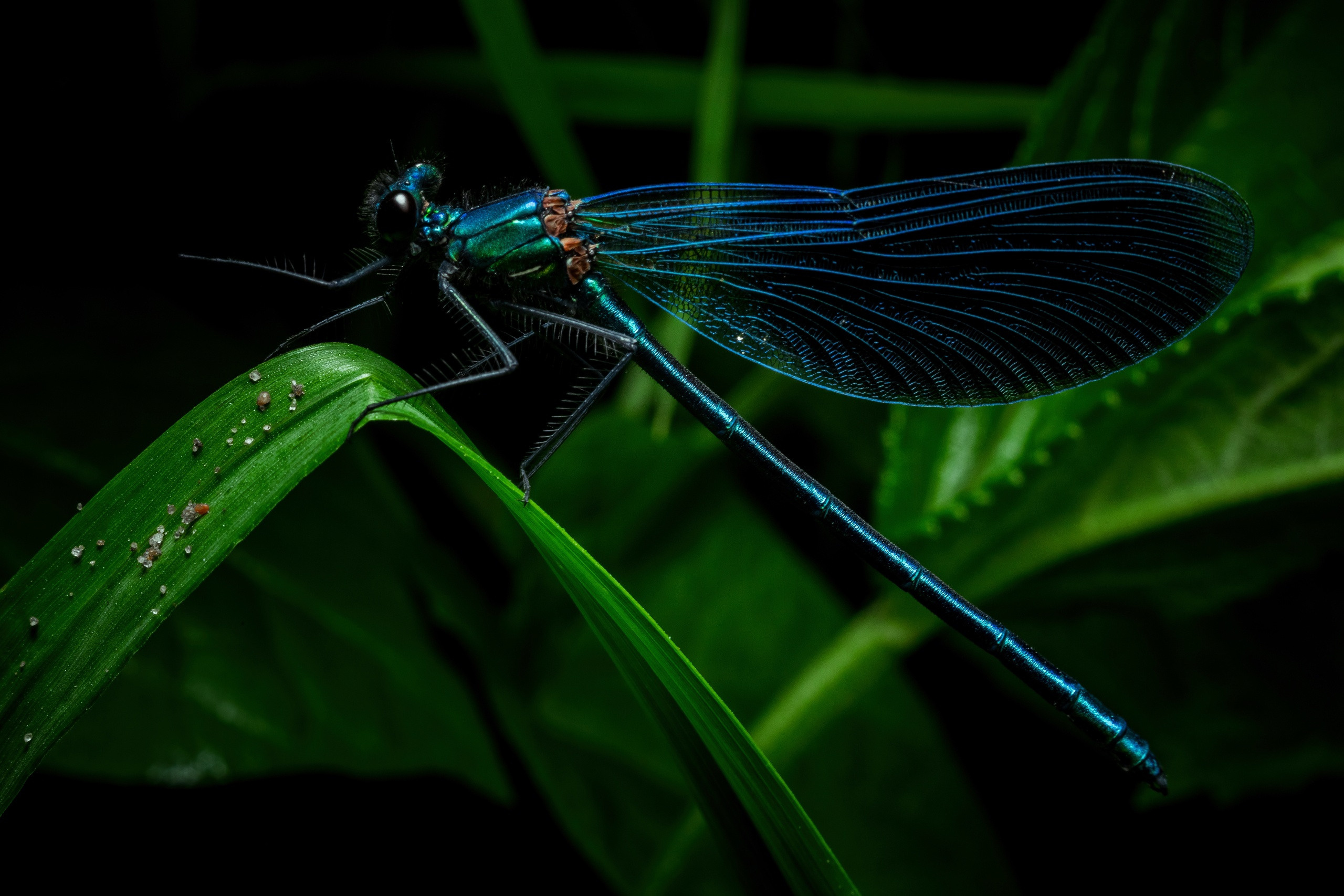 Фотограф Виталий Верескун. Козельск-Калуга
