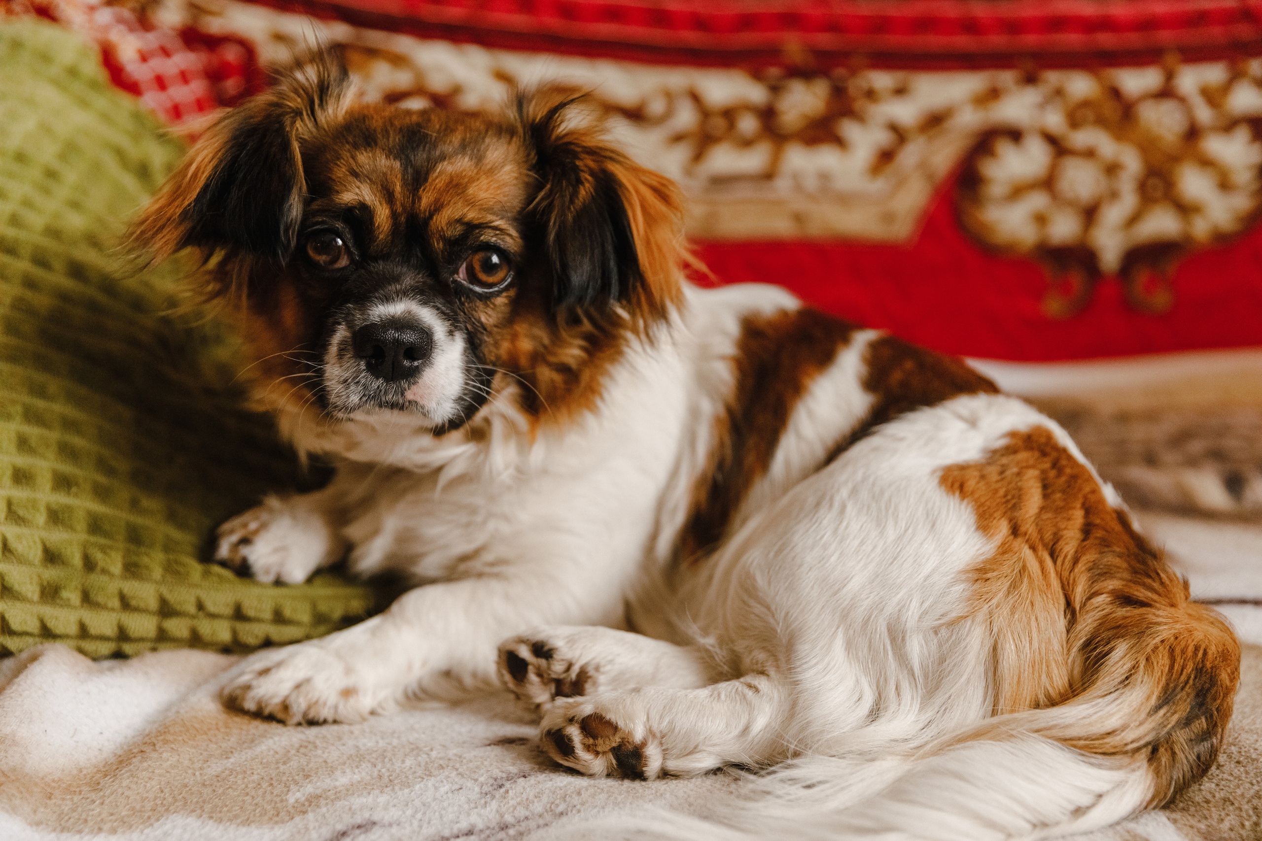 Детский Доктор. Фотограф Виталий Верескун. Козельск-Калуга