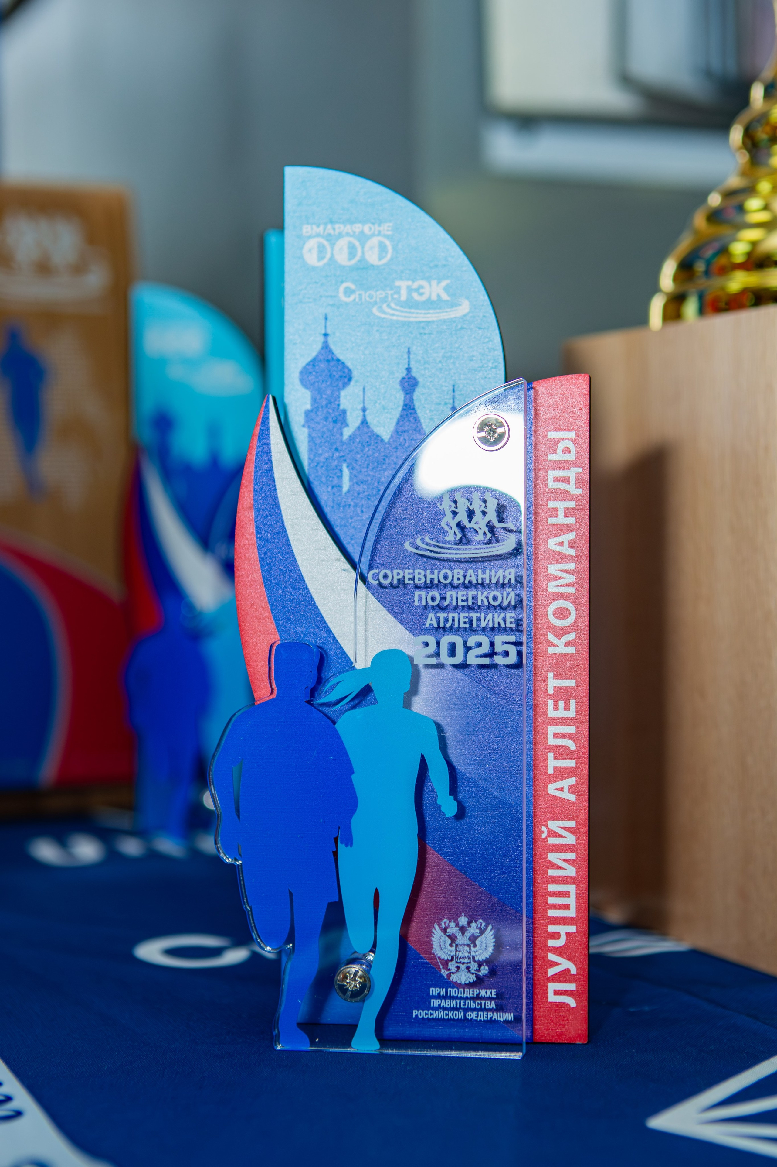 Соревнования по легкой атлетике. Репортажный, семейный, свадебный, портретный фотограф