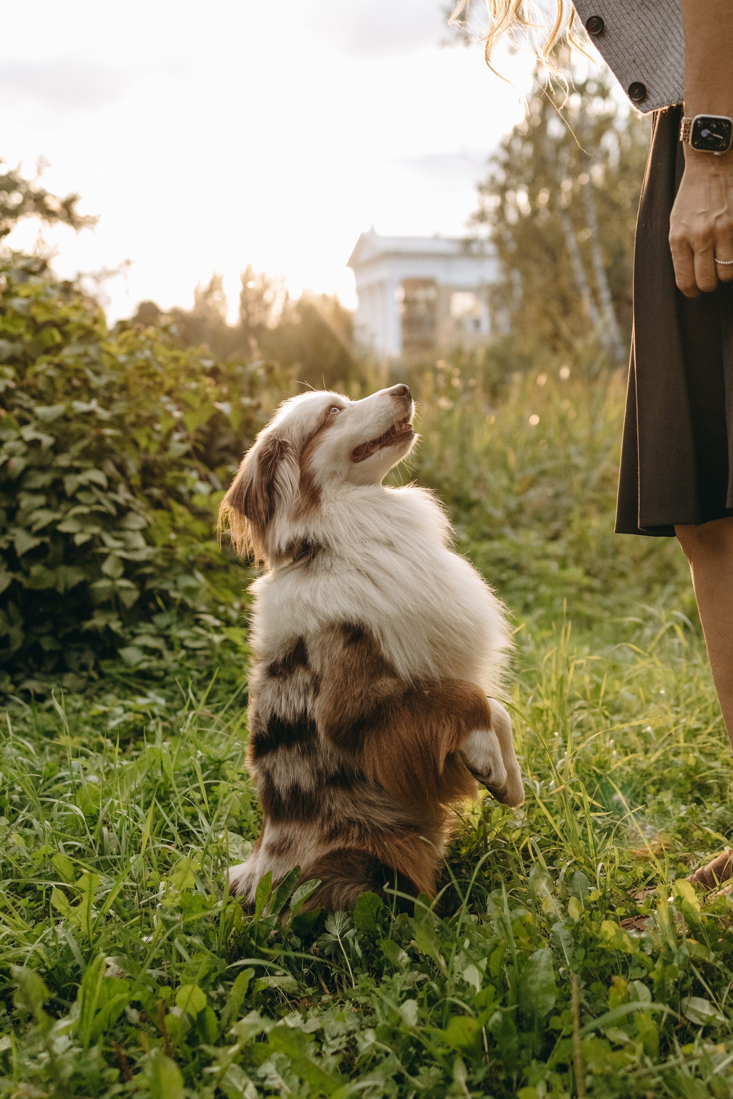 Маша и Эклер. Фотограф — Анималист | Санкт-Петербург