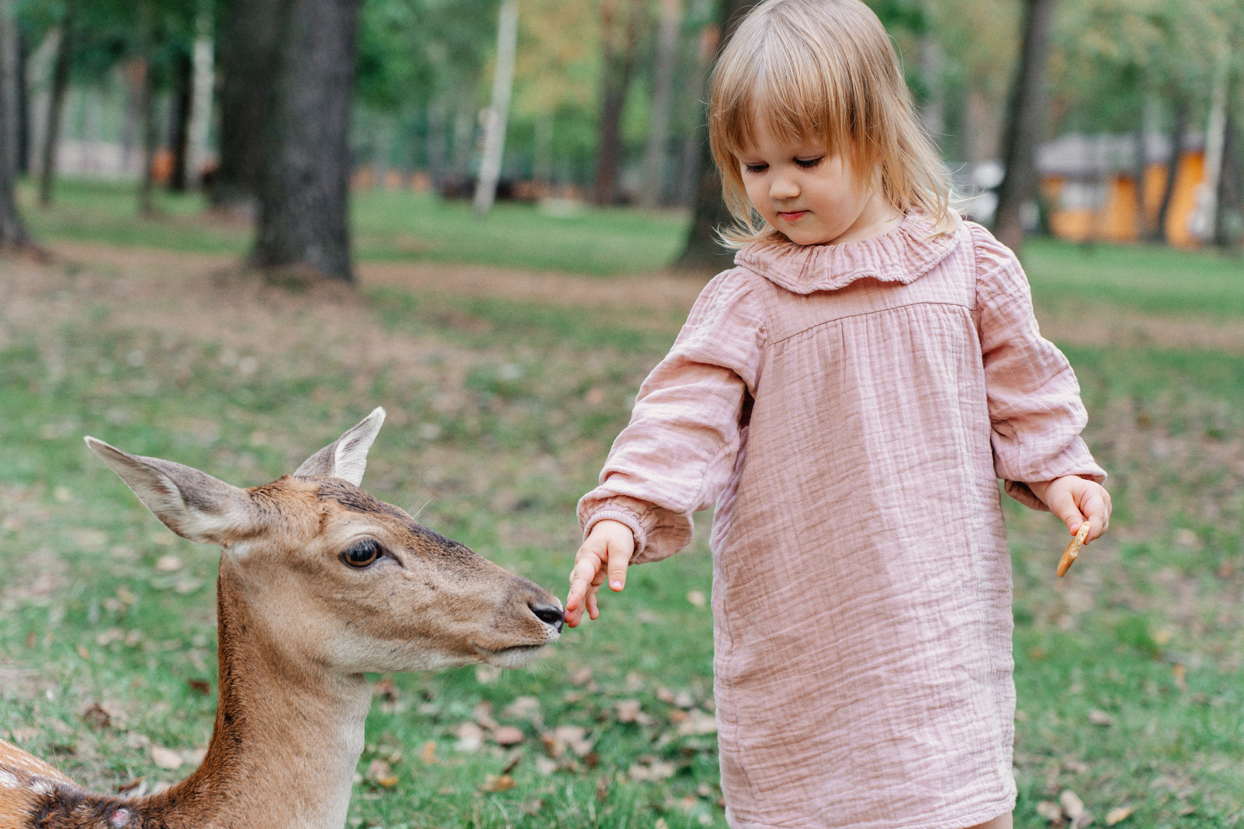 Диприз — в мире диких животных. Ваш семейный фотограф в Минске — Вика Трегубова