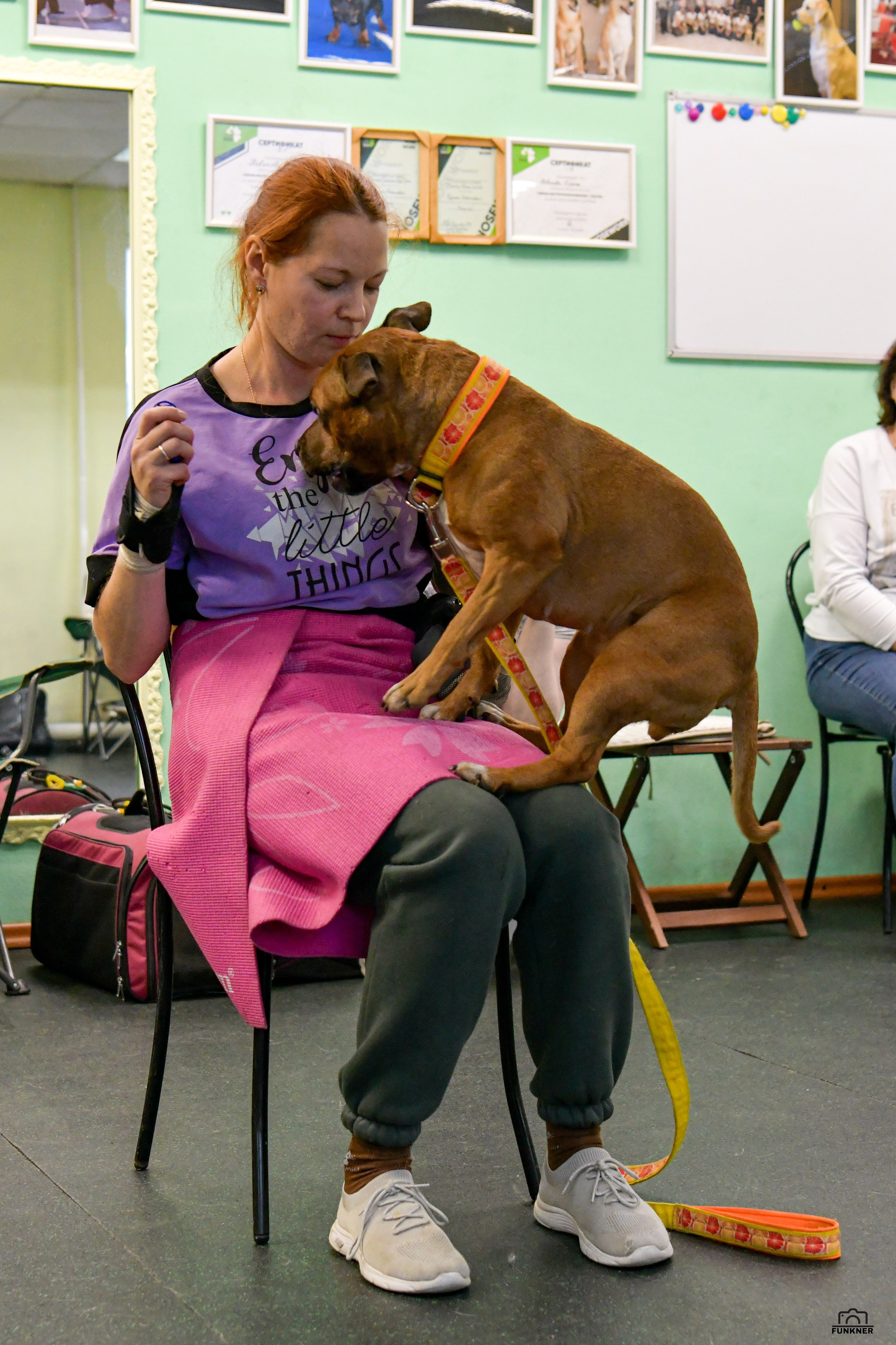Кинологический клуб «Бодрый хвост». Свой взгляд через объектив