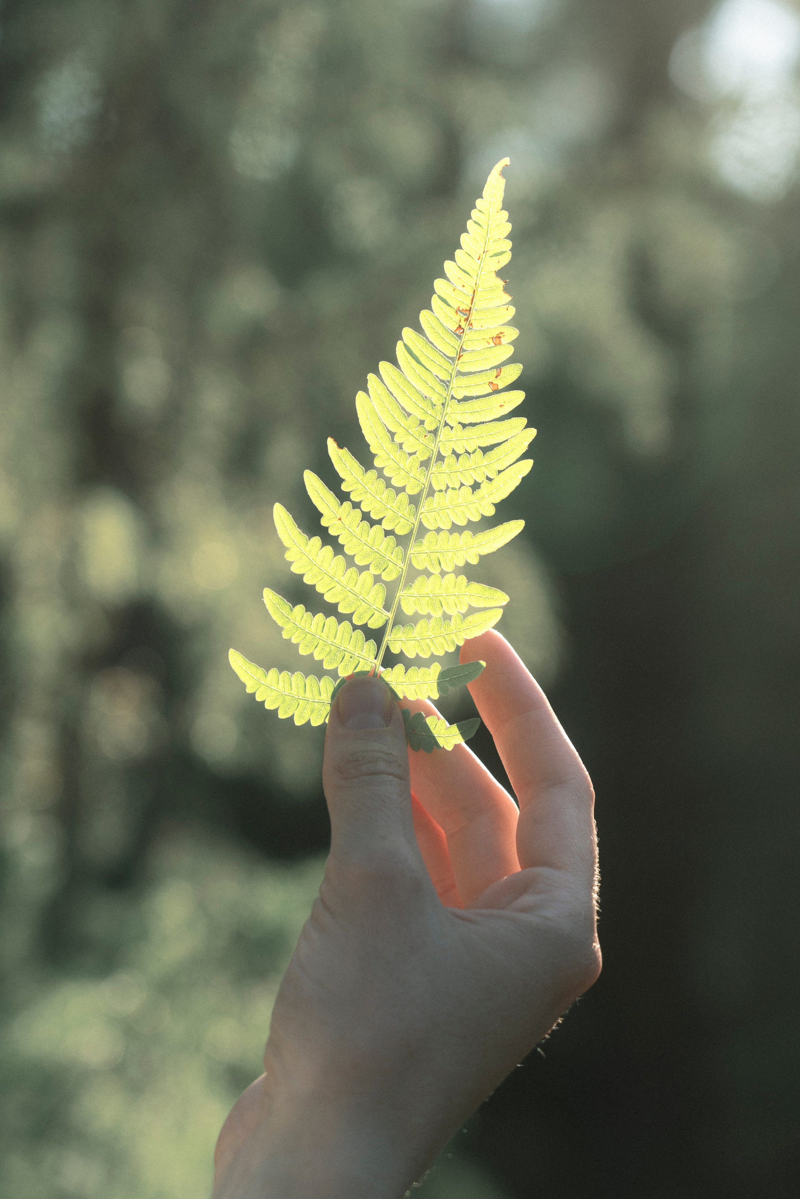 Съемка на природе. Фотограф в Санкт-Петербурге Лена Малинина