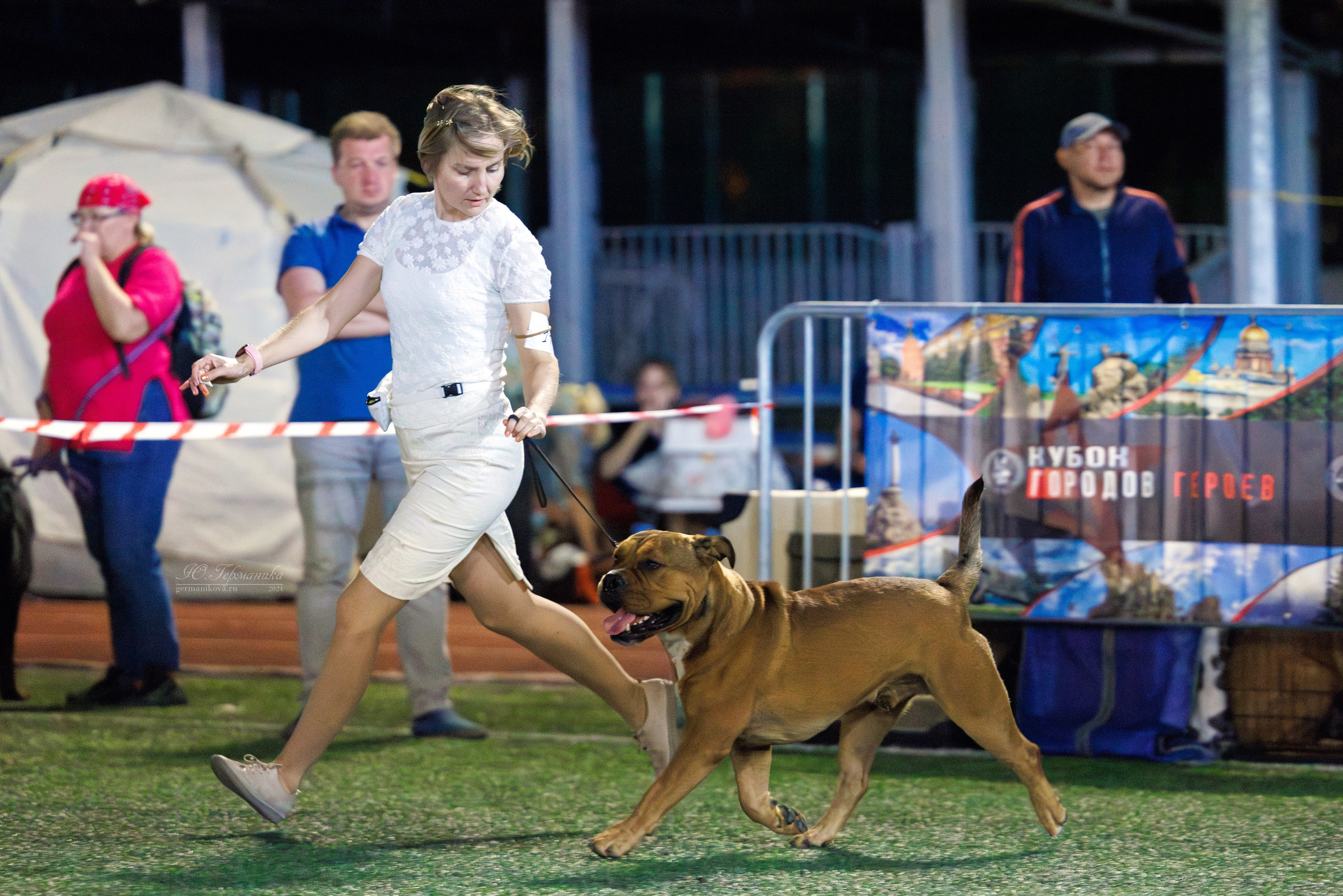 Волгоград 2-4.08.2024. Фотограф-анималист Юлия Германика