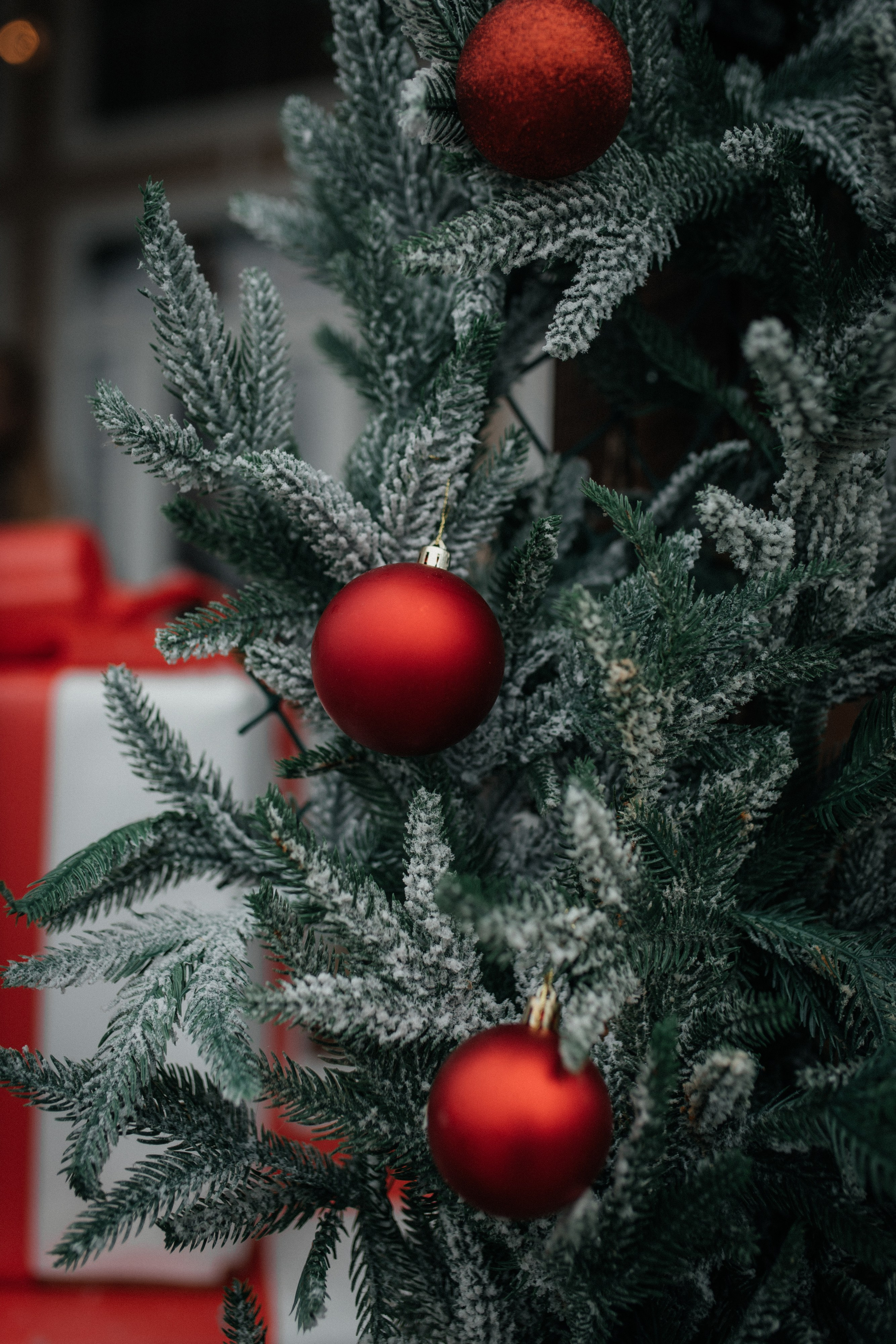 Юля, Даниил и Глебушка. Семейный фотограф и фотограф на роды в Ростове-на-Дону Мухина Виктория