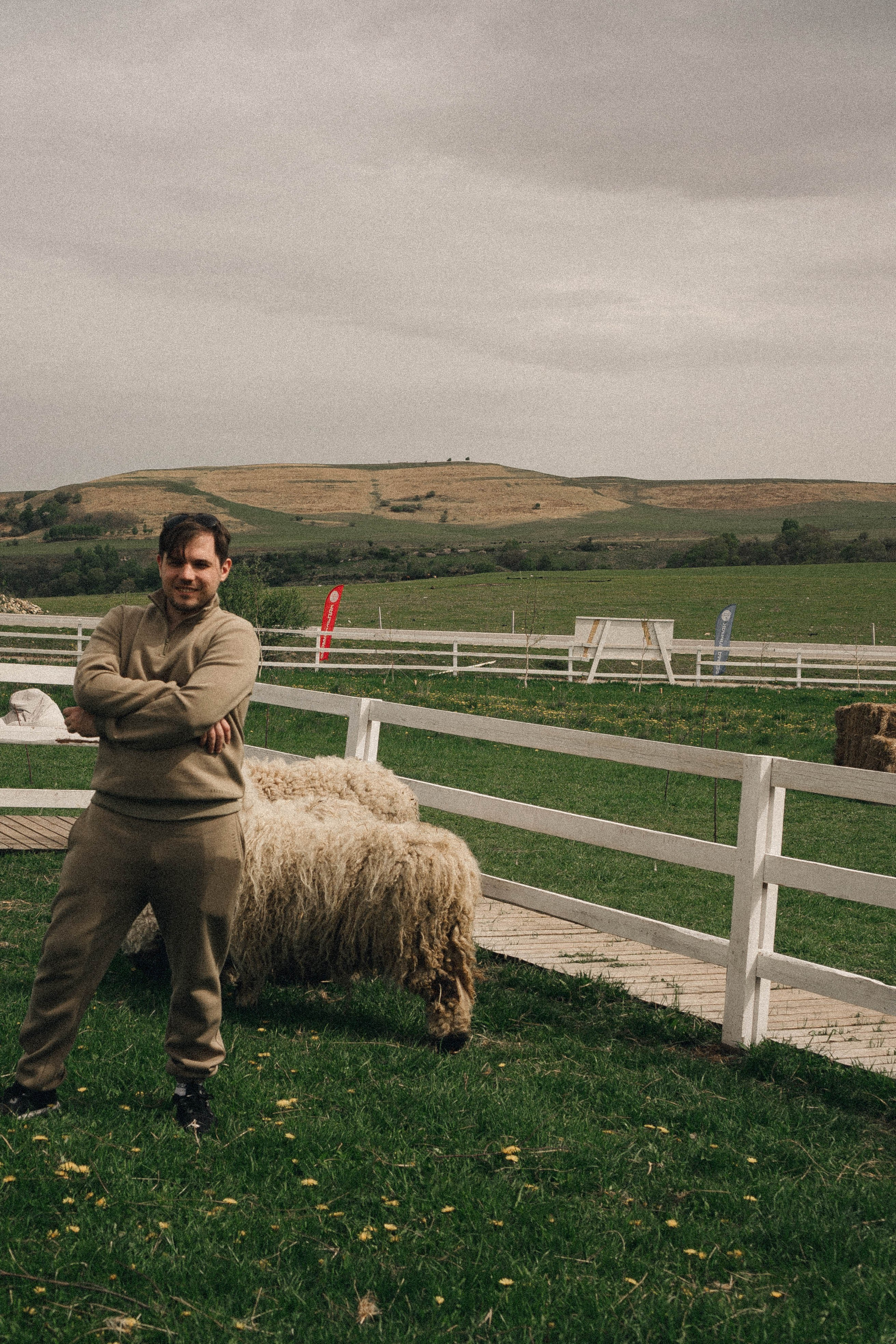 Ферма Альпак. Профессиональный фотограф, Санкт-Петербург — Виктория Богомолова