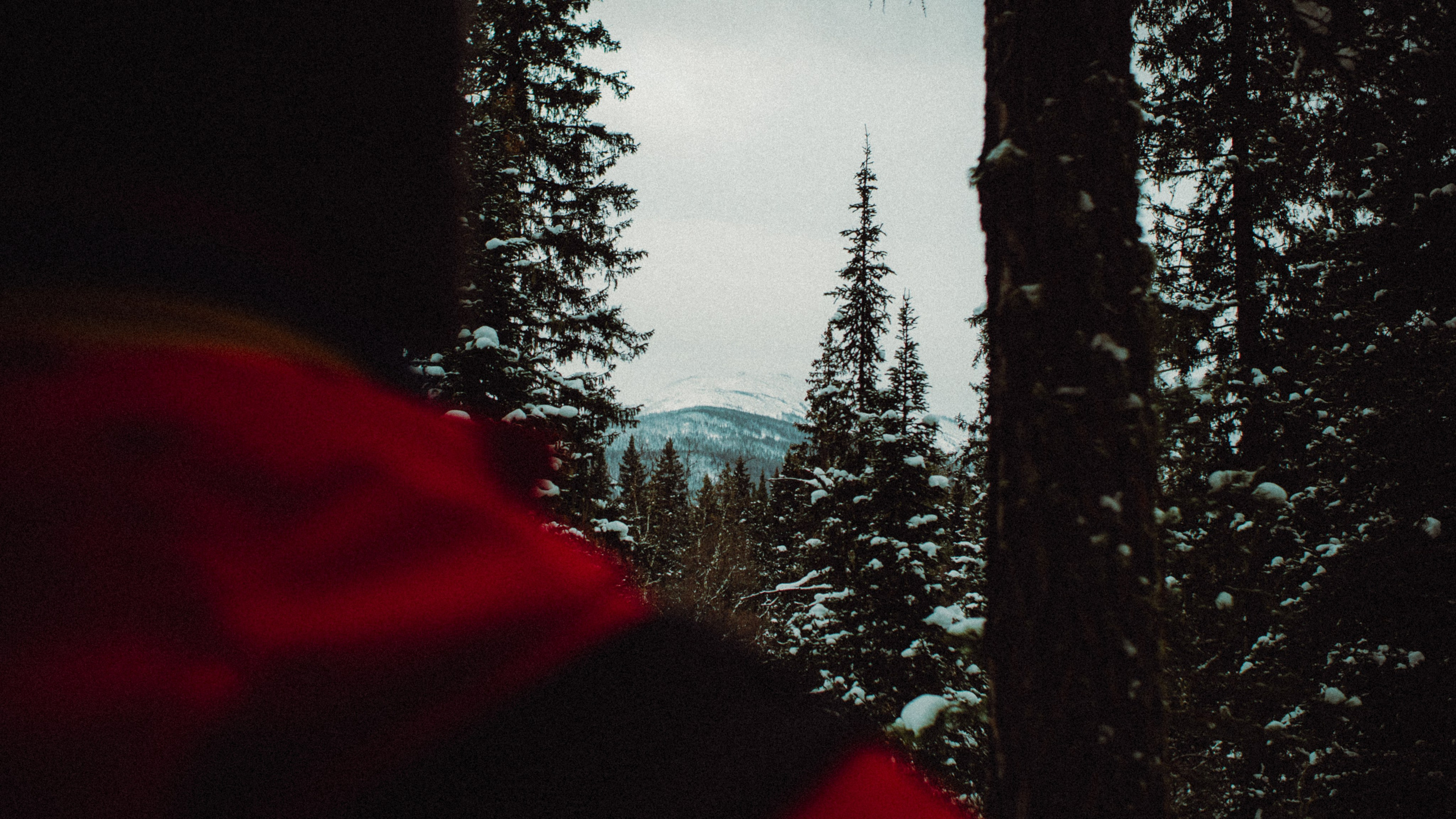 Фотографии из путешествий. NECULTURED PHOTOGRAPHER