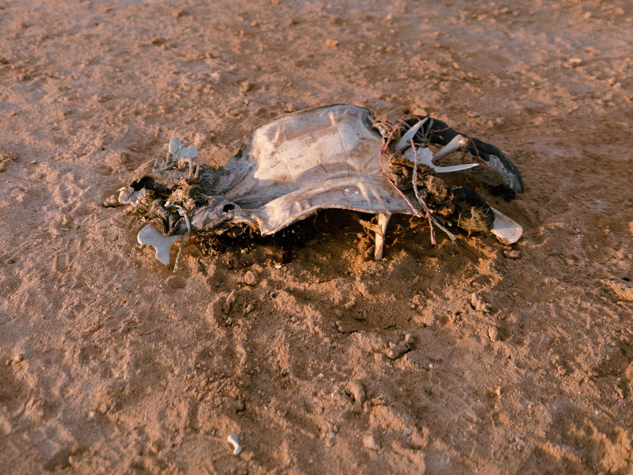 Второй сорт. Jorgis — фотограф в Хургаде / обучение фотографии