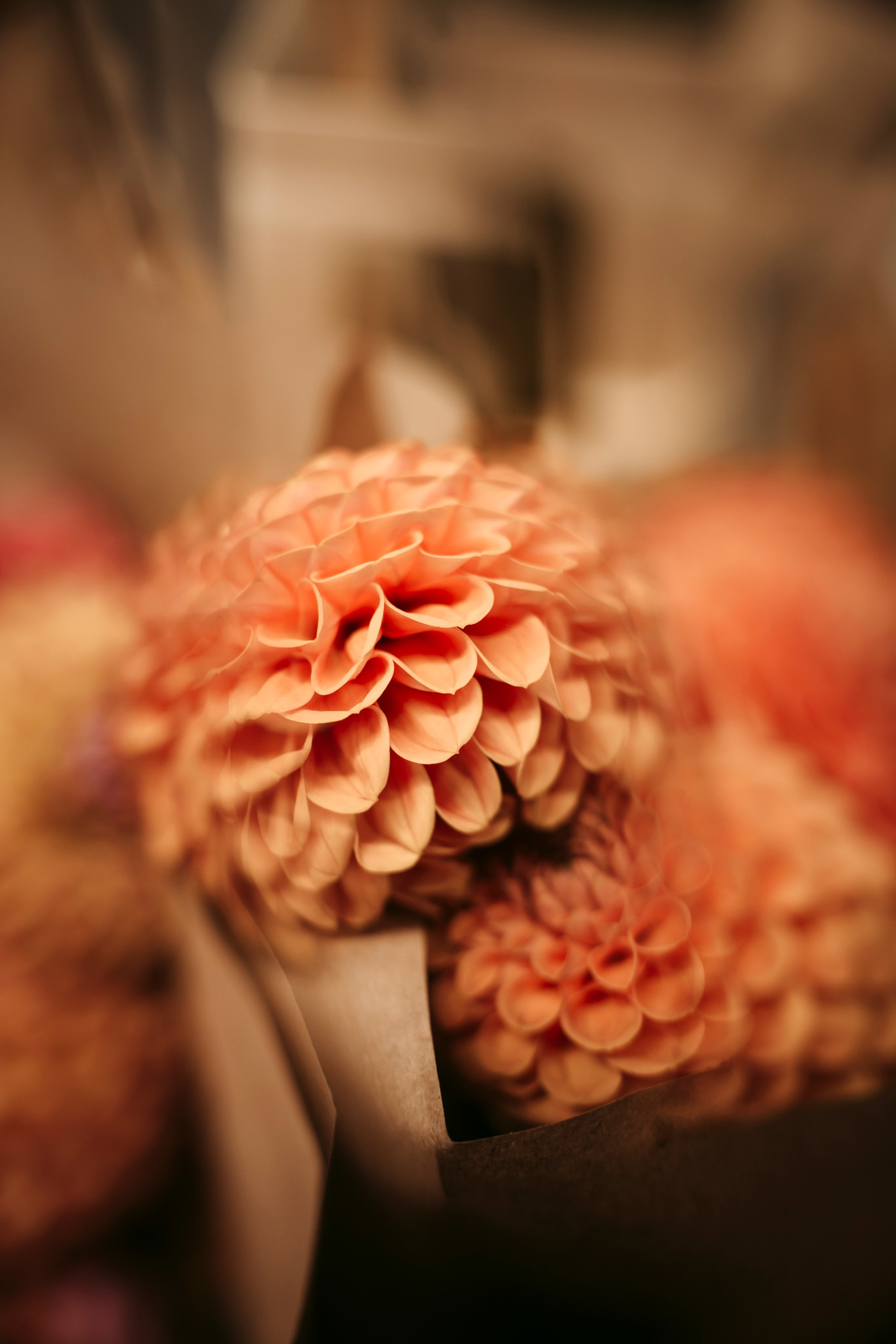 Цветочный андеграунд. Главная