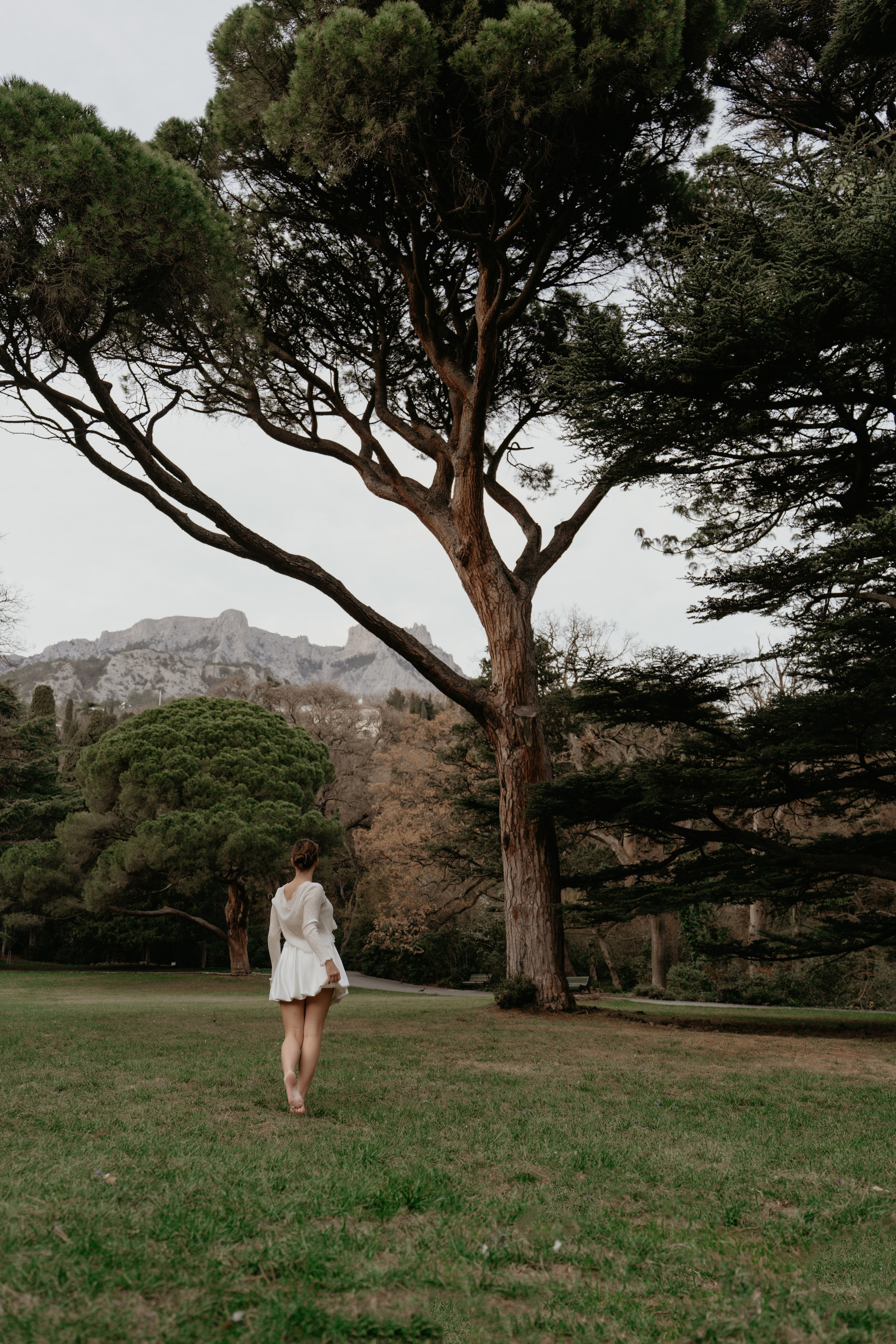 Под кроной вечности. Фотограф и Видеограф Севастополь Крым