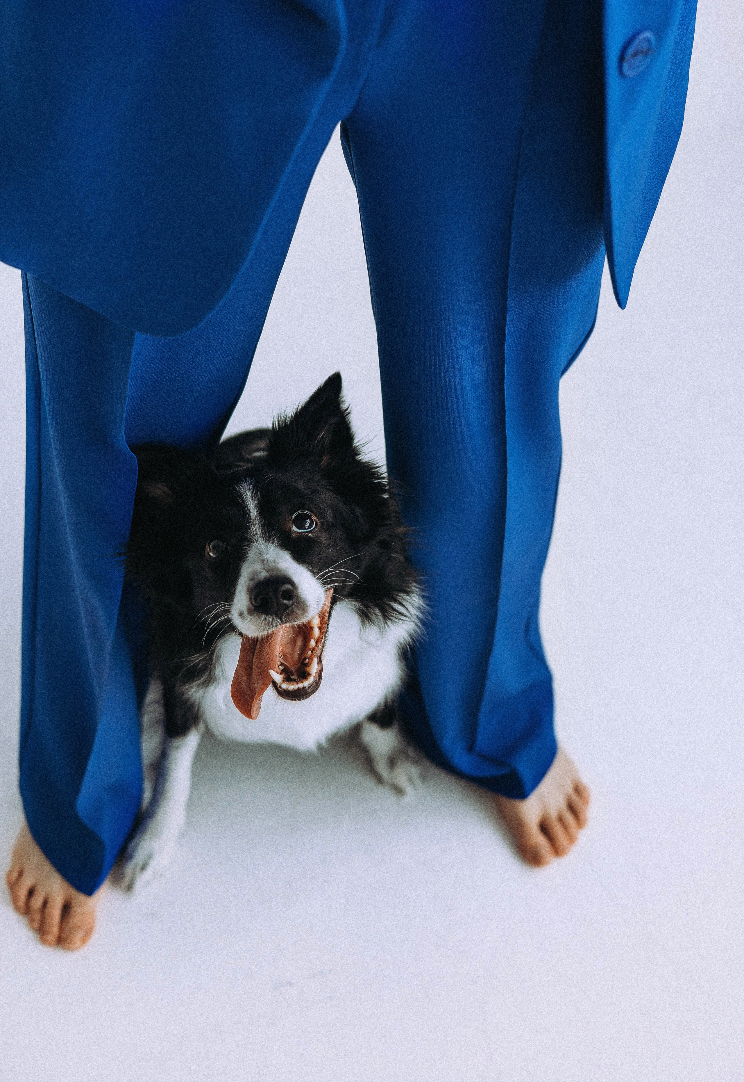 Катя и Райли. Фотограф-анималист Богданова Полина