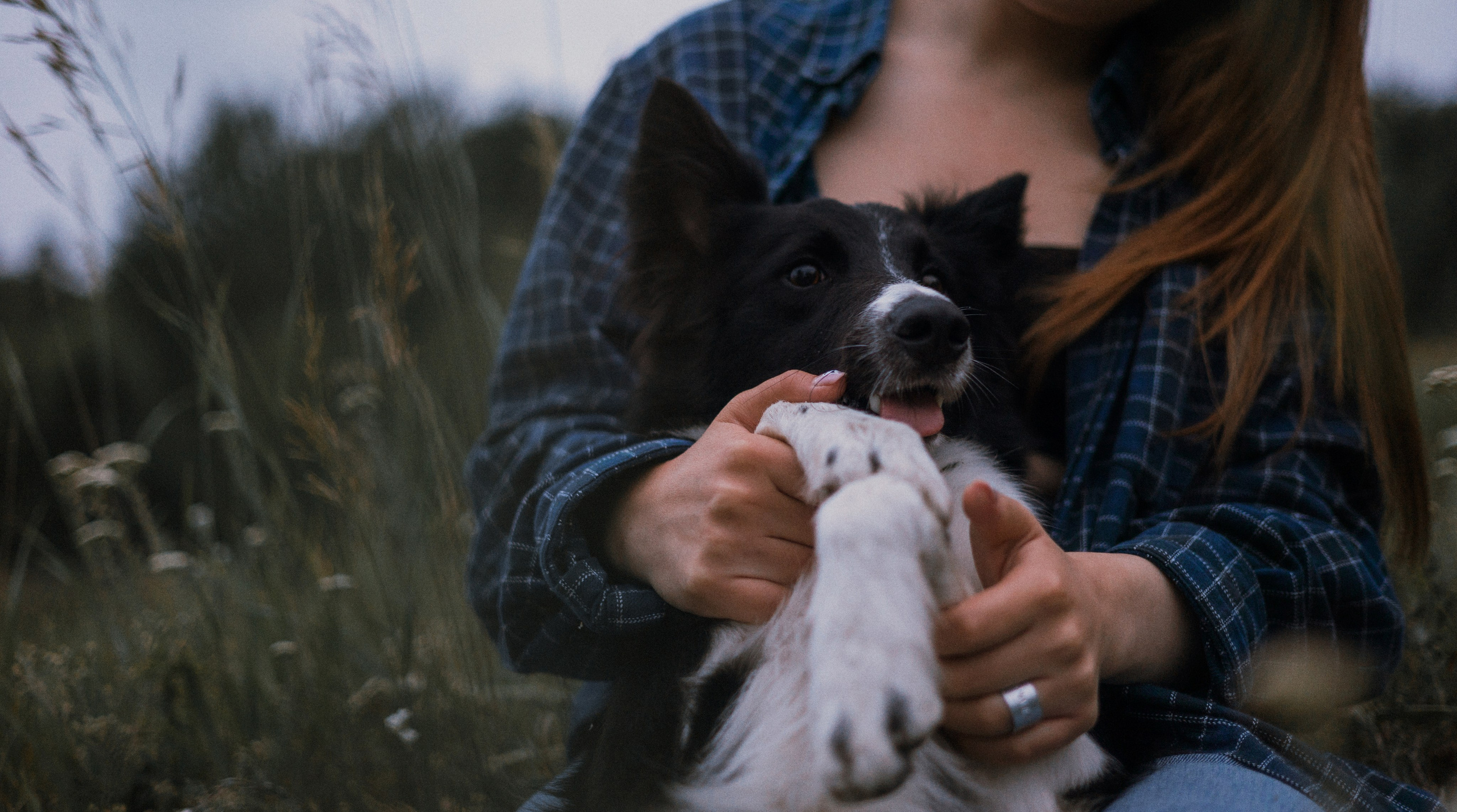 Аделя, Вандер, Шайна и Бая. Фотограф-анималист Богданова Полина