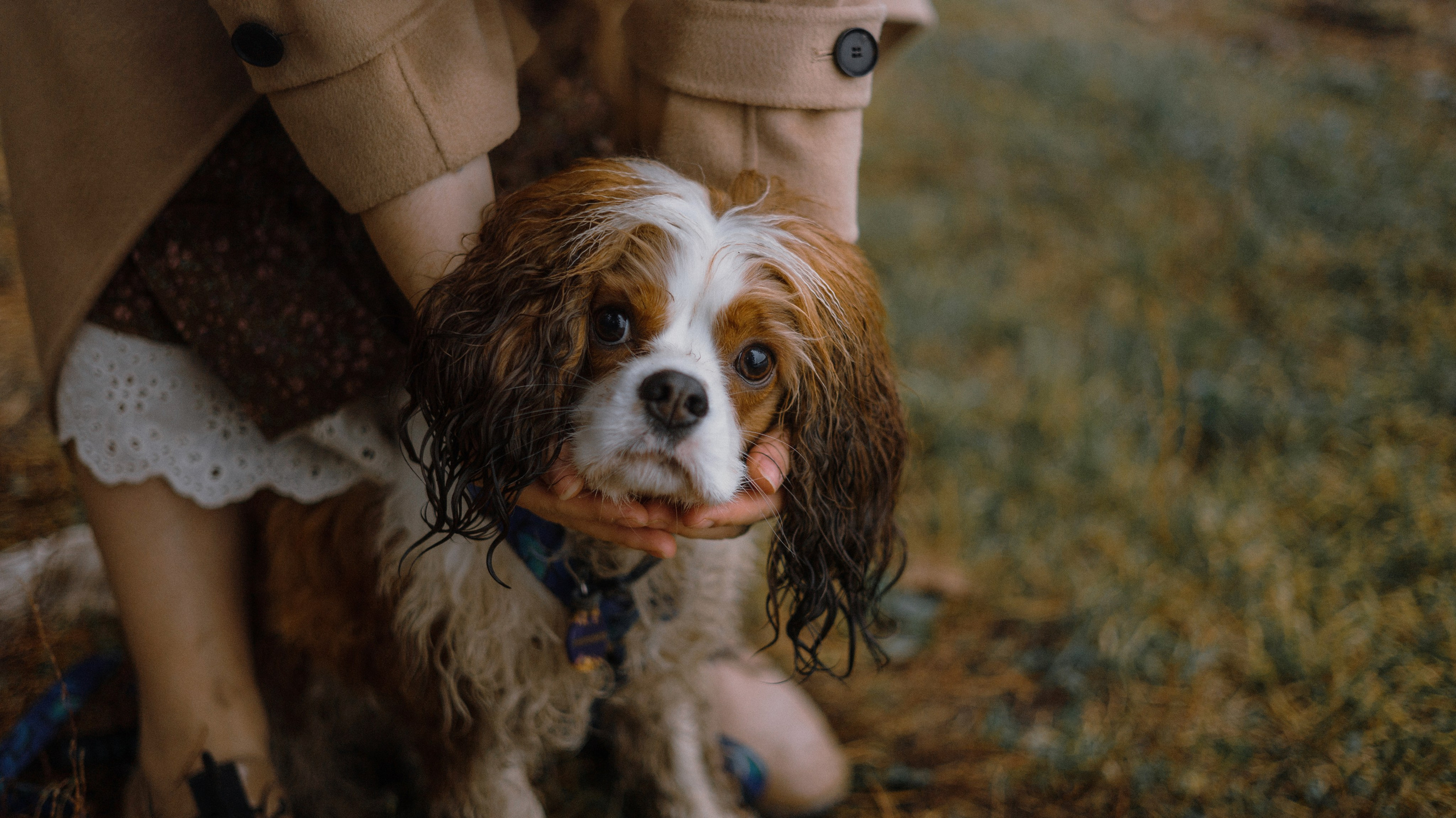 Маша и Дарси. Фотограф-анималист Богданова Полина