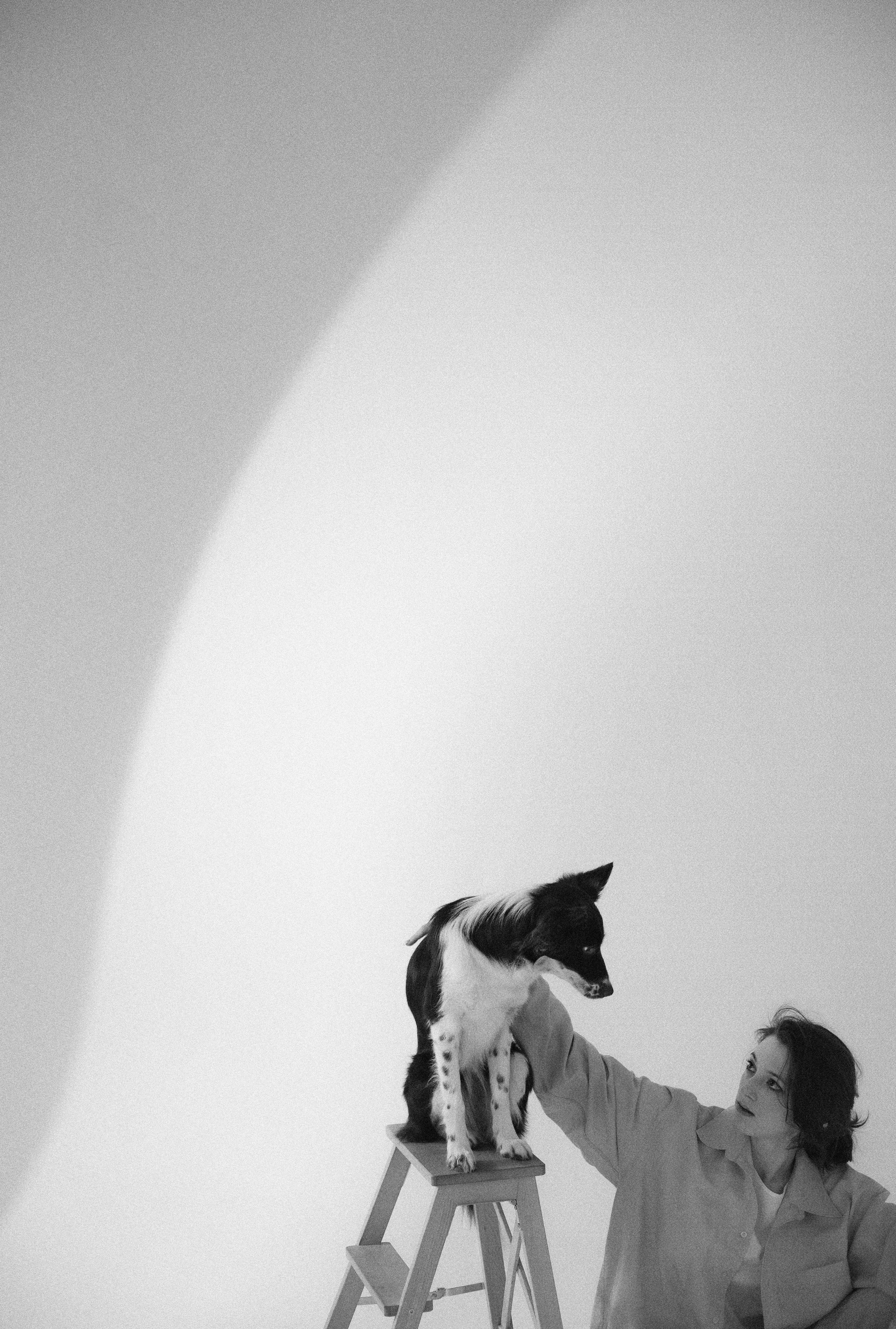 Алена и Гвендолин. Фотограф-анималист Богданова Полина