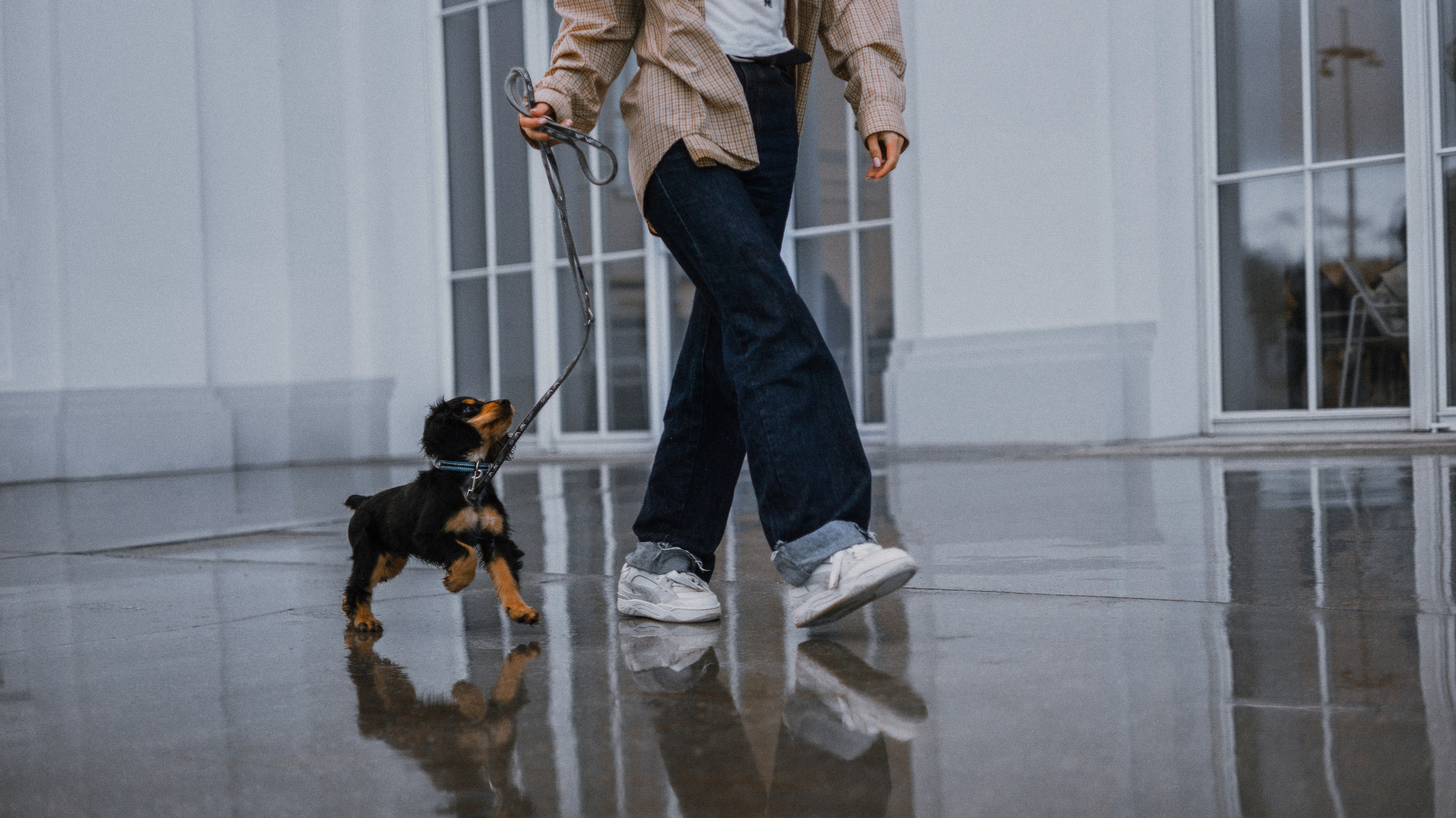 Аня и Ривер. Фотограф-анималист Богданова Полина