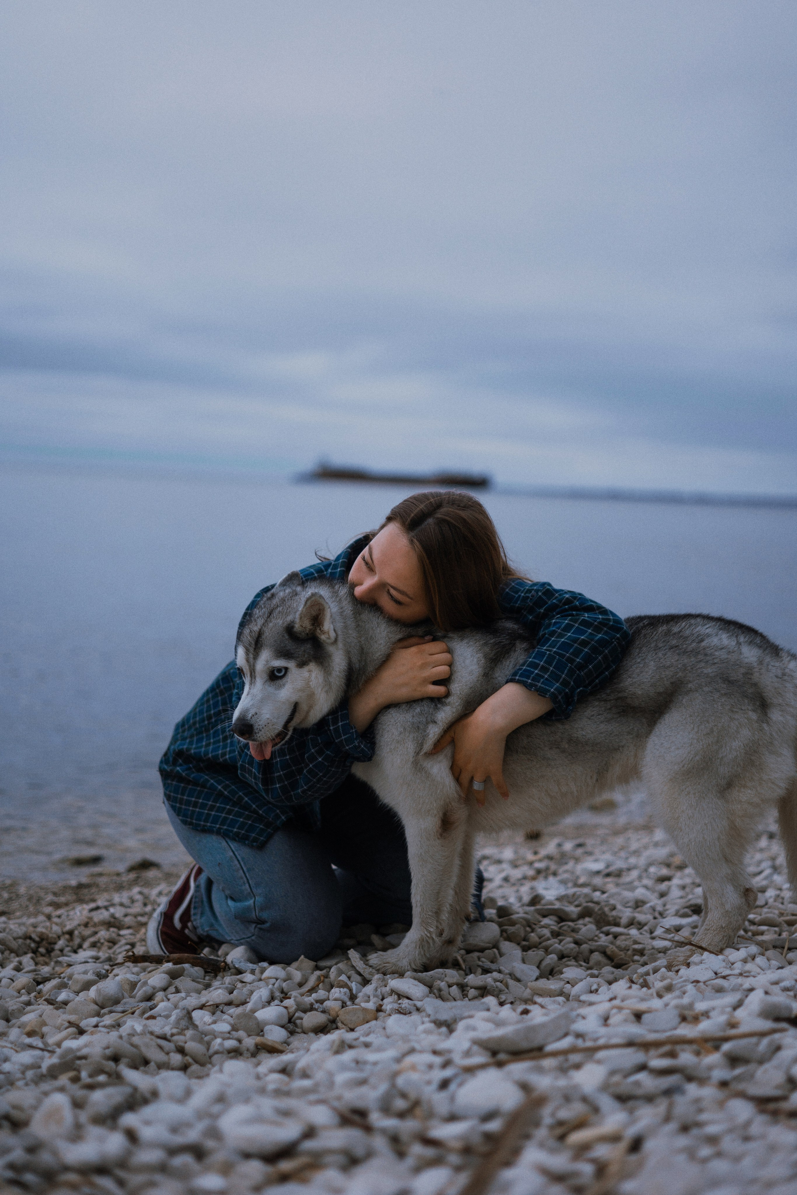 Аделя, Вандер, Шайна и Бая. Фотограф-анималист Богданова Полина