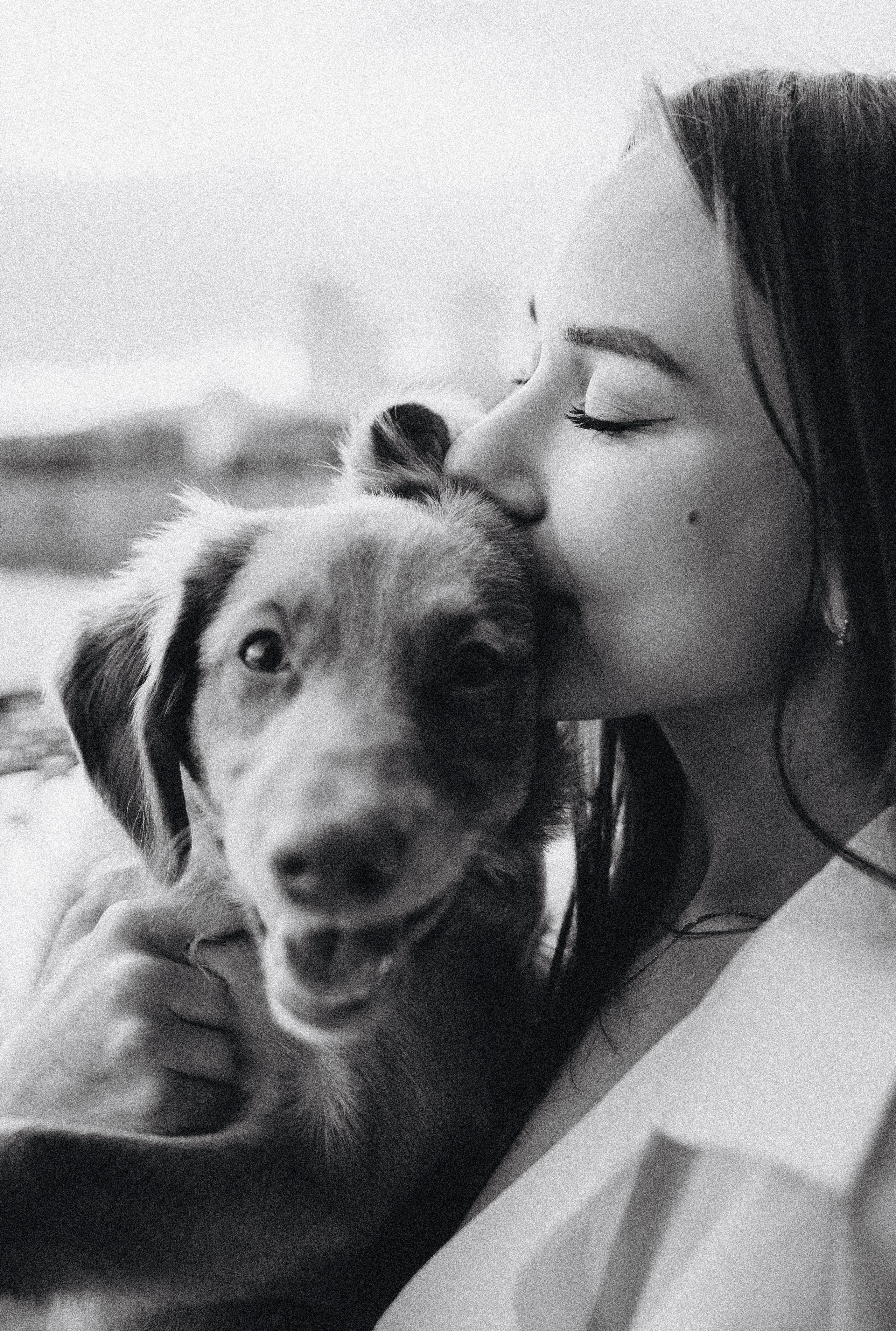 Вика и Хардин. Фотограф-анималист Богданова Полина