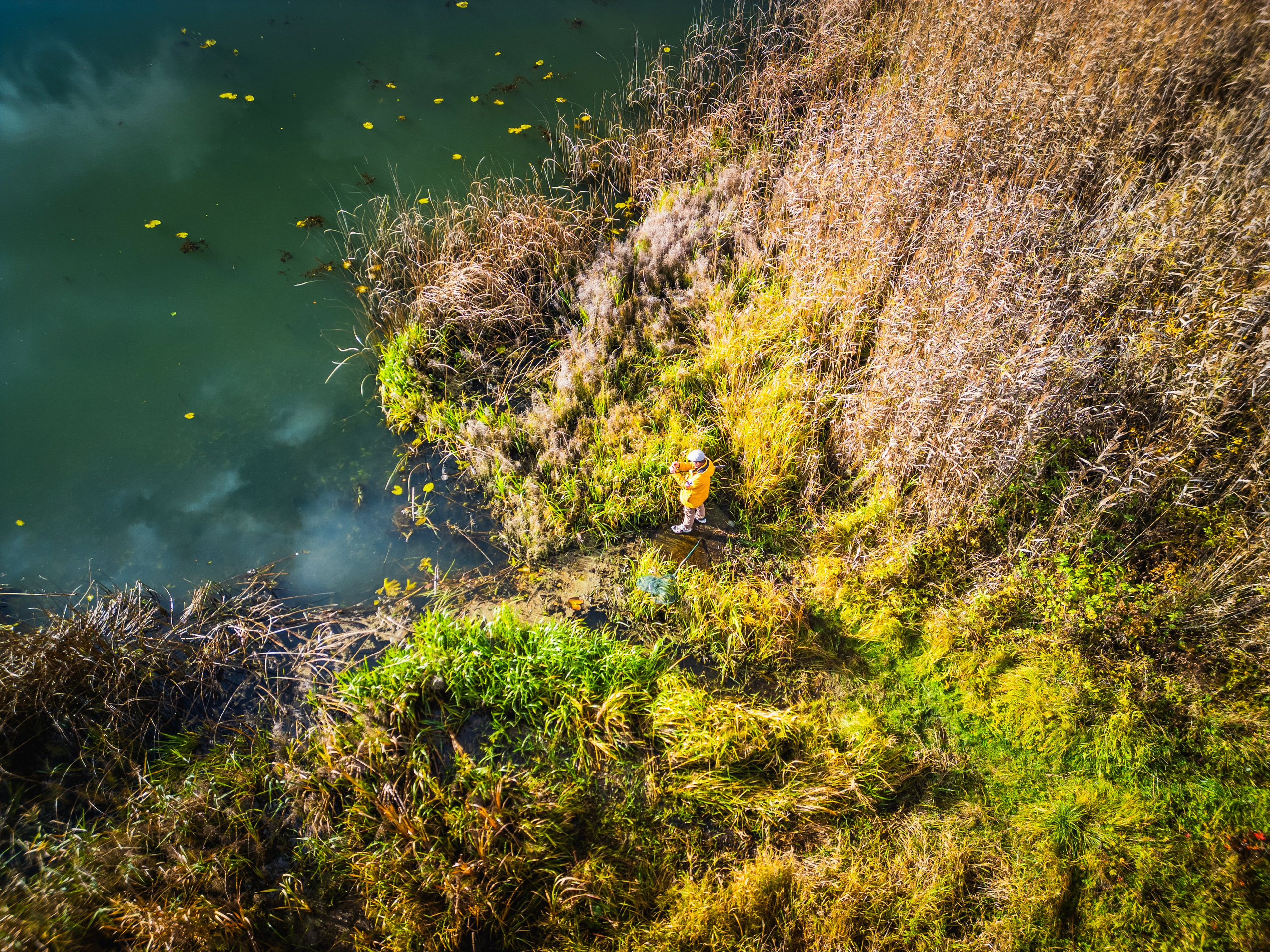 Дом на продажу № 1. DRONBERRY — Аэросъемка Ярославль