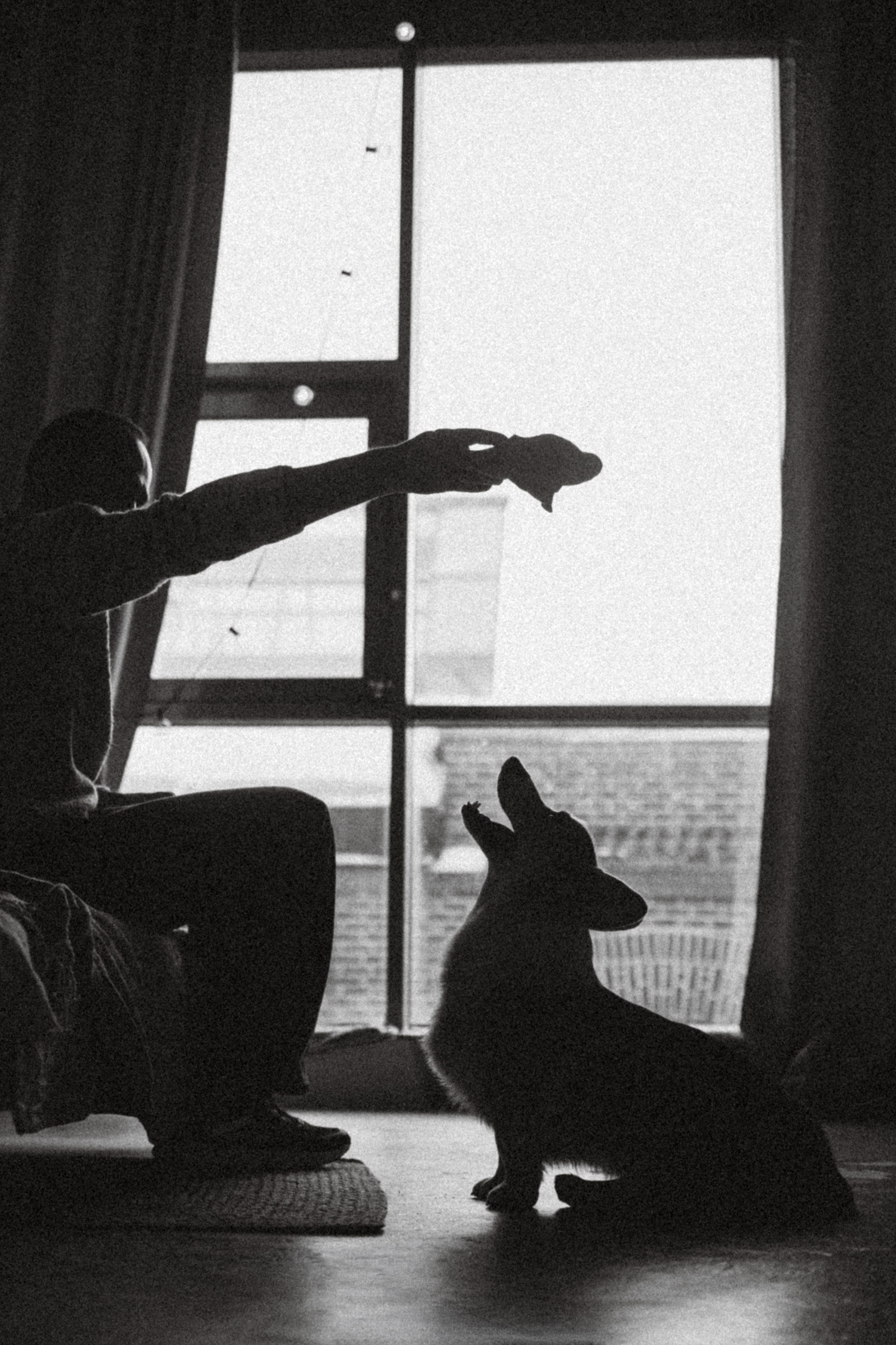 Наталья, Евгений и Мерлин