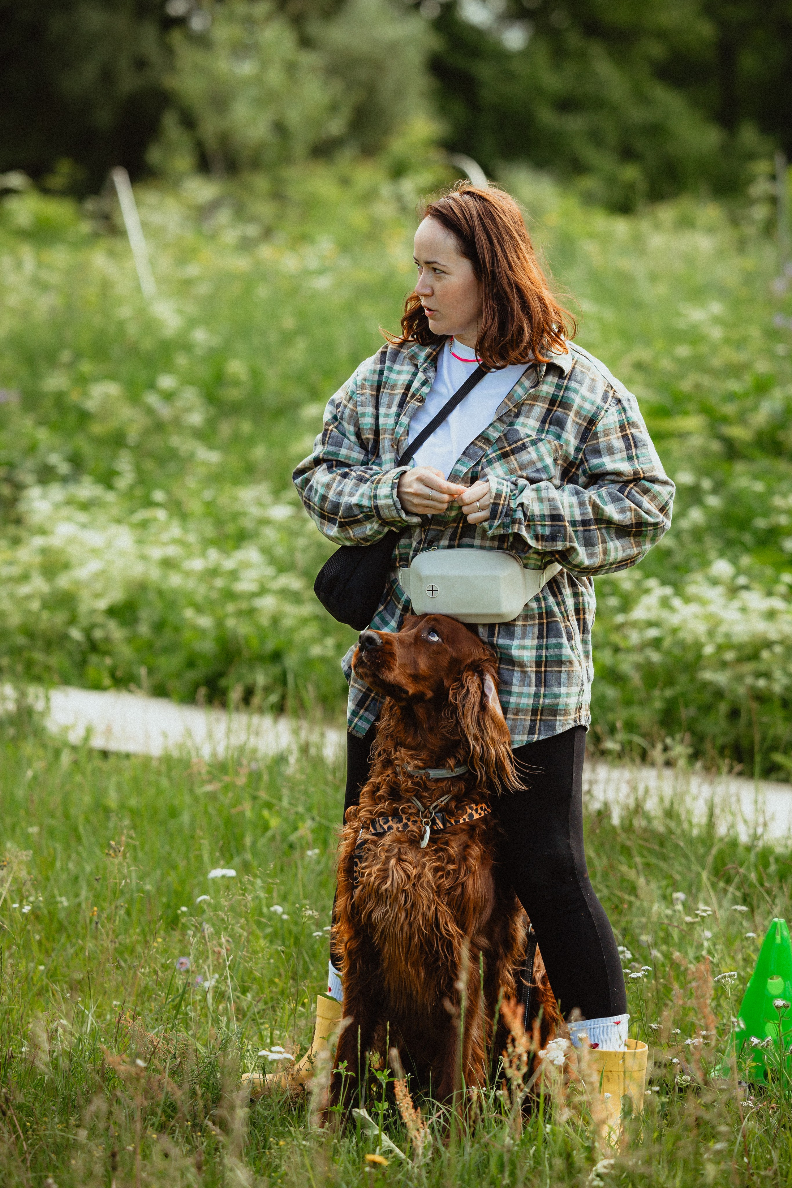 Выездной дог-тренинг от школы «Шерсть имею»