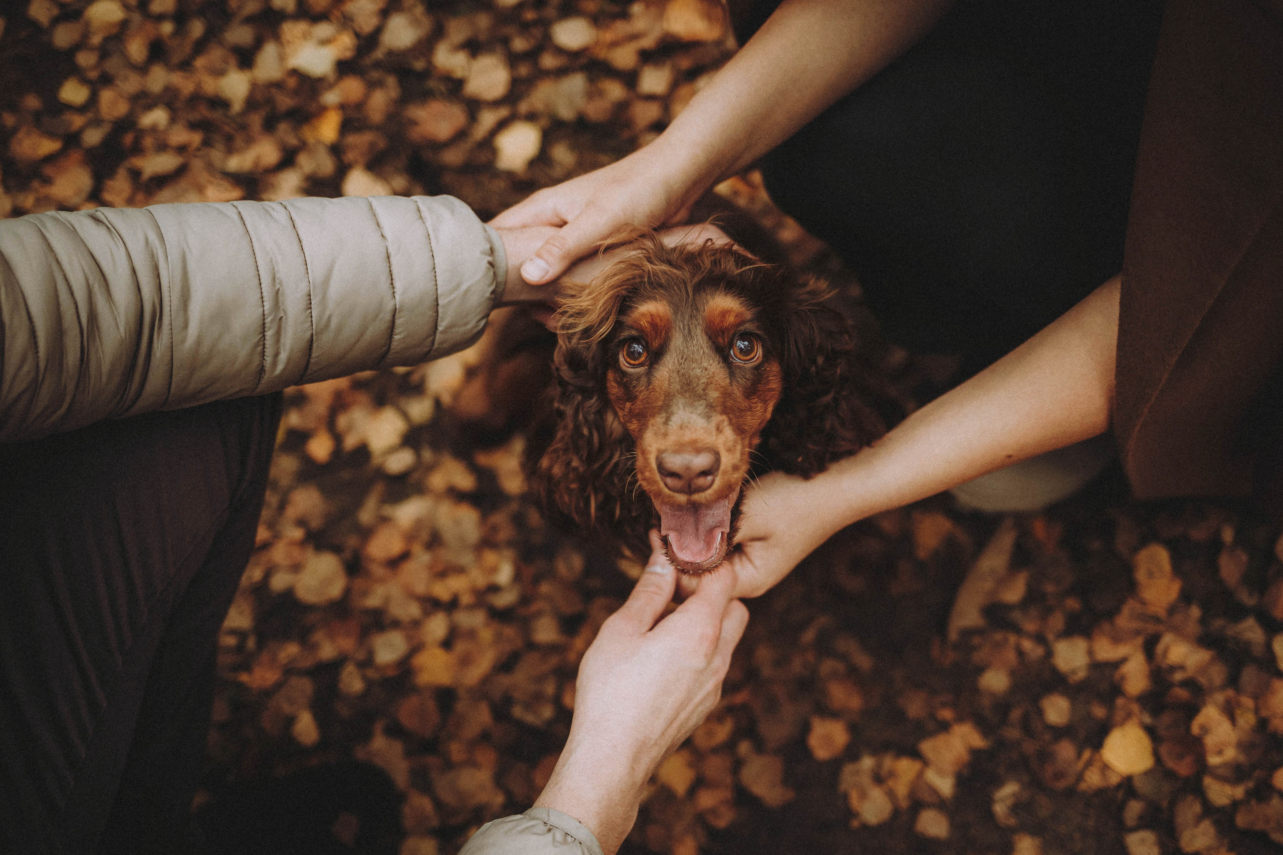 Настя, Саша и Эстер
