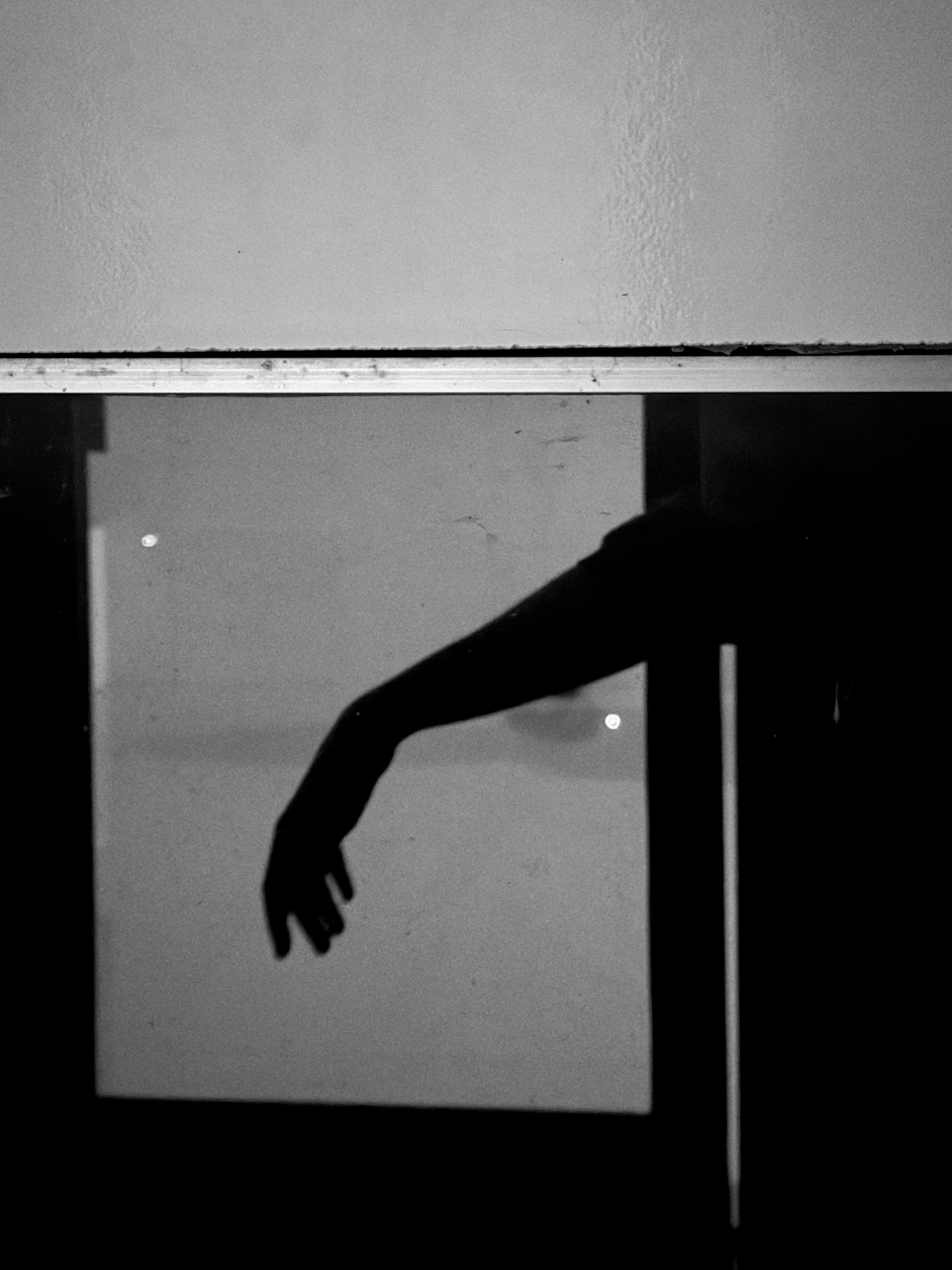 Виолетта Скрипка