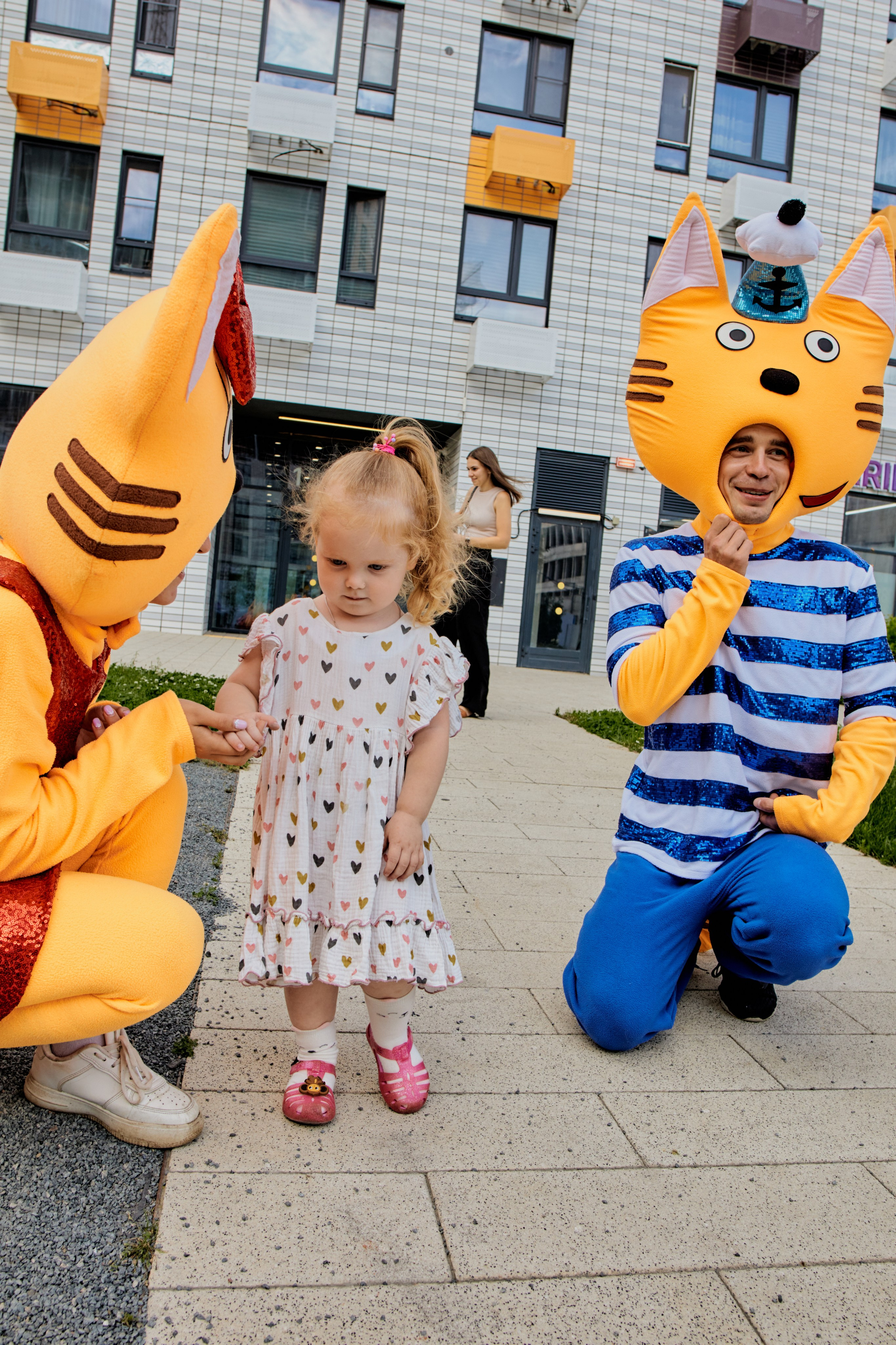 Три кота. Фотограф Москва