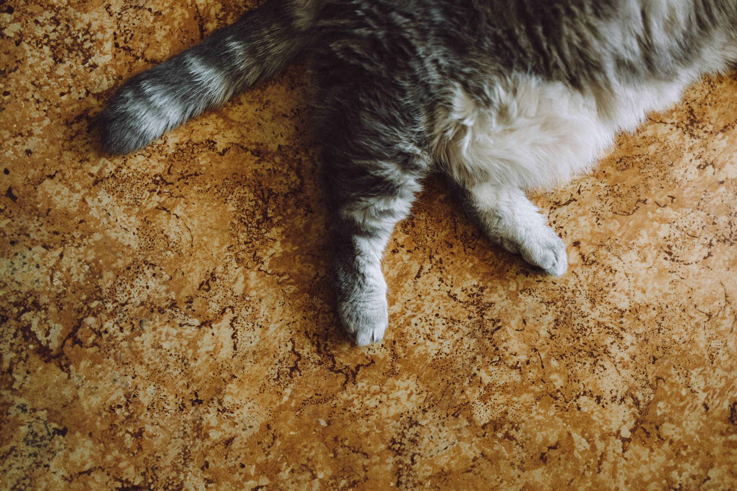 Яся и ее семья