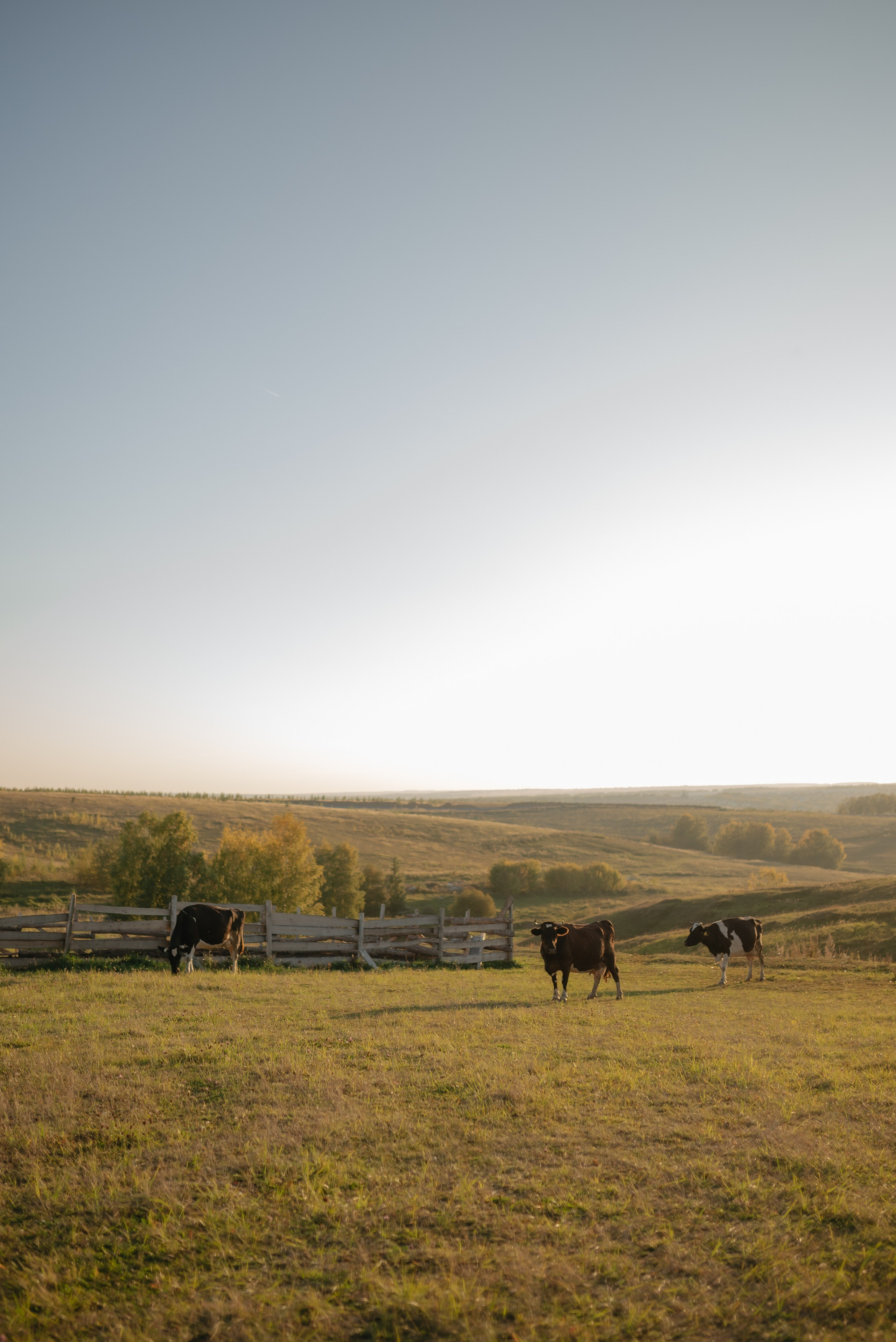 Анна. Семейный и портретный фотограф Нижний Новгород